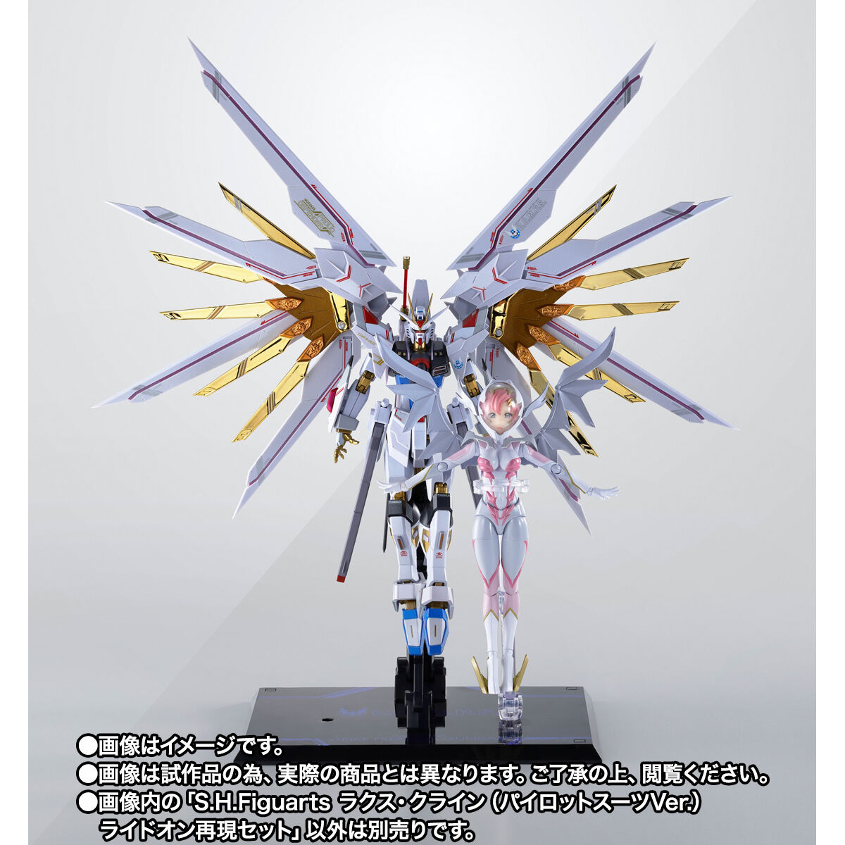 抽選販売】S.H.Figuarts ラクス・クライン（パイロットスーツVer