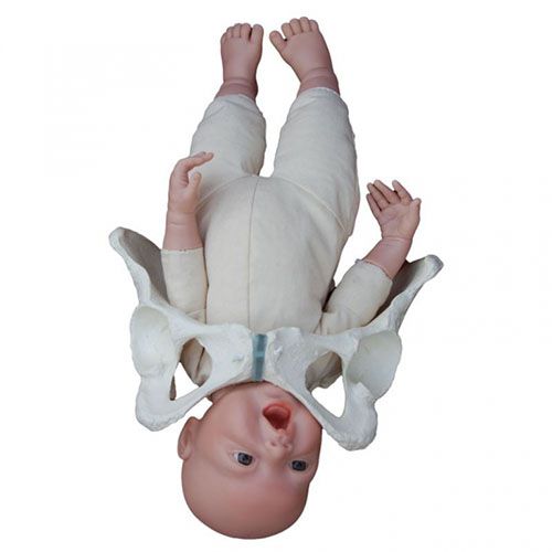 両親教室や子育て支援講座での分娩教材用のセット 赤ちゃん人形の専門