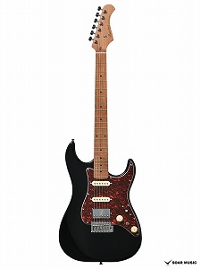 Bacchus Live Road サンバースト今夜のみ！ 【公式通販】