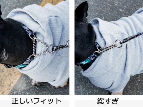 WOOF CONCEPT クイックリリース・ハーフチョークカラー