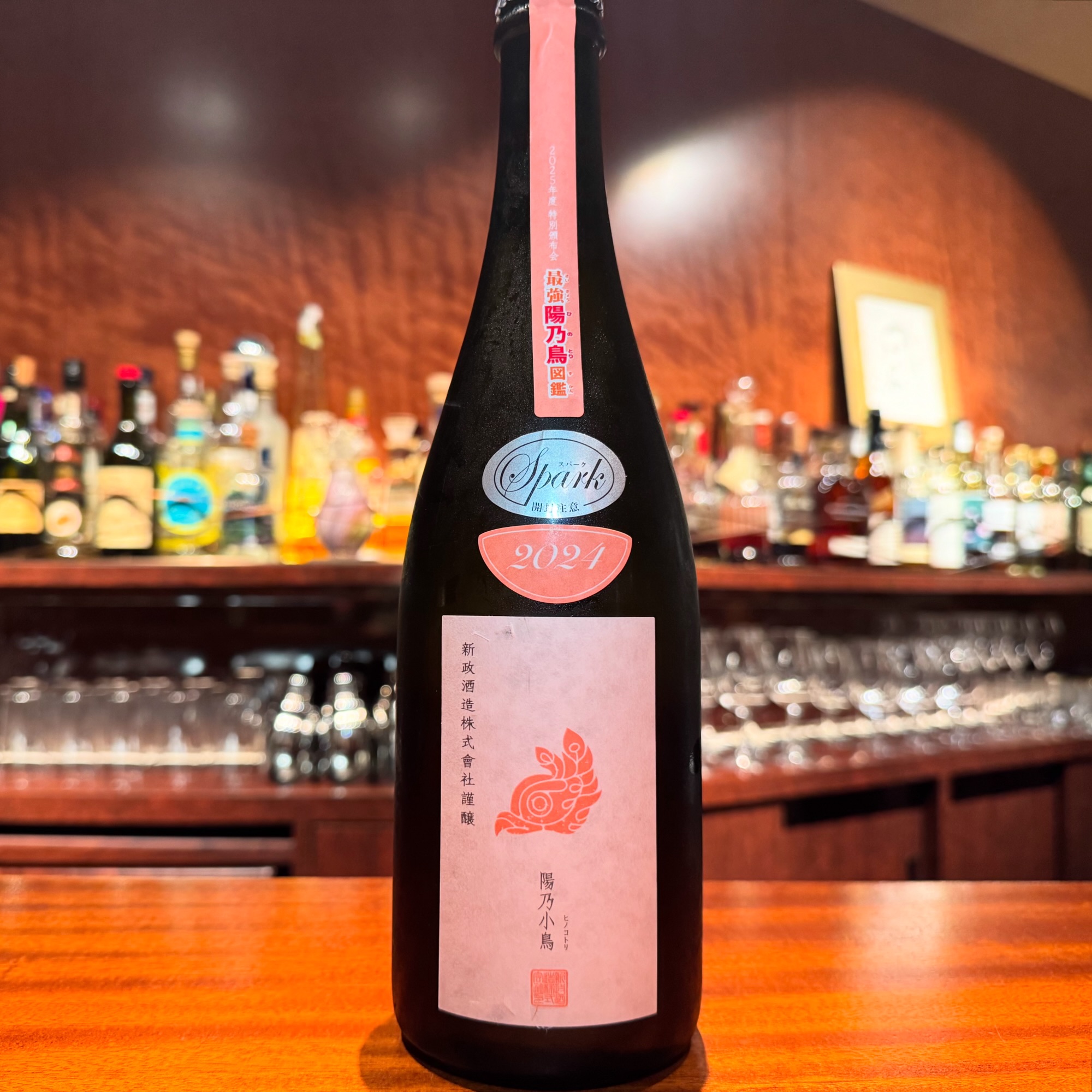 新政 頒布会2025 陽乃小鳥 迦桜羅 第三弾 新政酒造頒布