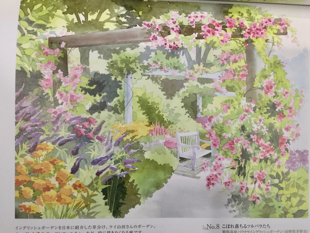 ガーデンスタジオから♪~大人の塗り絵~* | 蓼科高原バラクラ