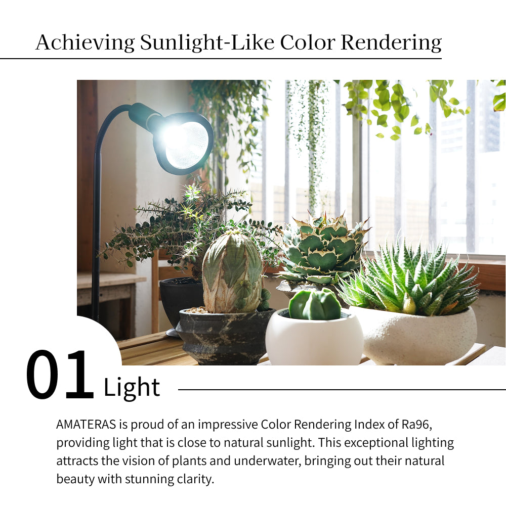 NEO AMATERAS LED 20W】BULB E26 CCT: 5900K – BARREL PLANT LIGHT