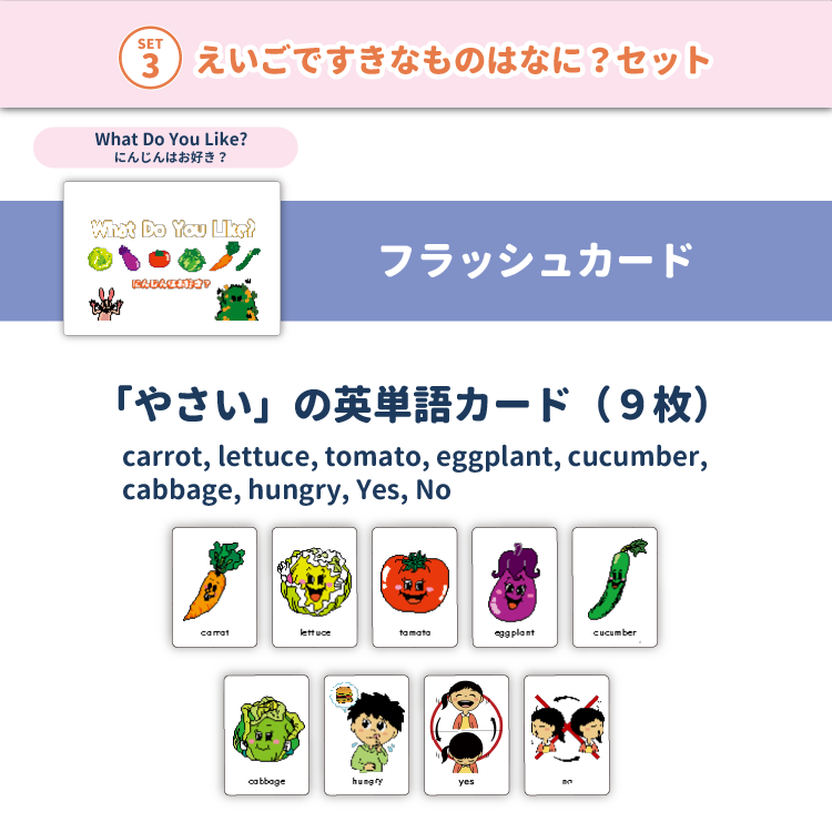 foil】実物提示教育 英語 3枚セット オトデルペン用 文部科学省 小学校