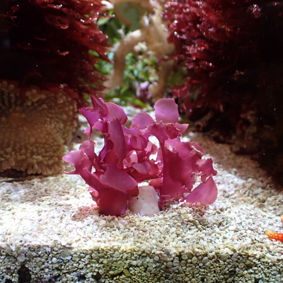 4027cfb4d6ff4d4ae278a0620214d4