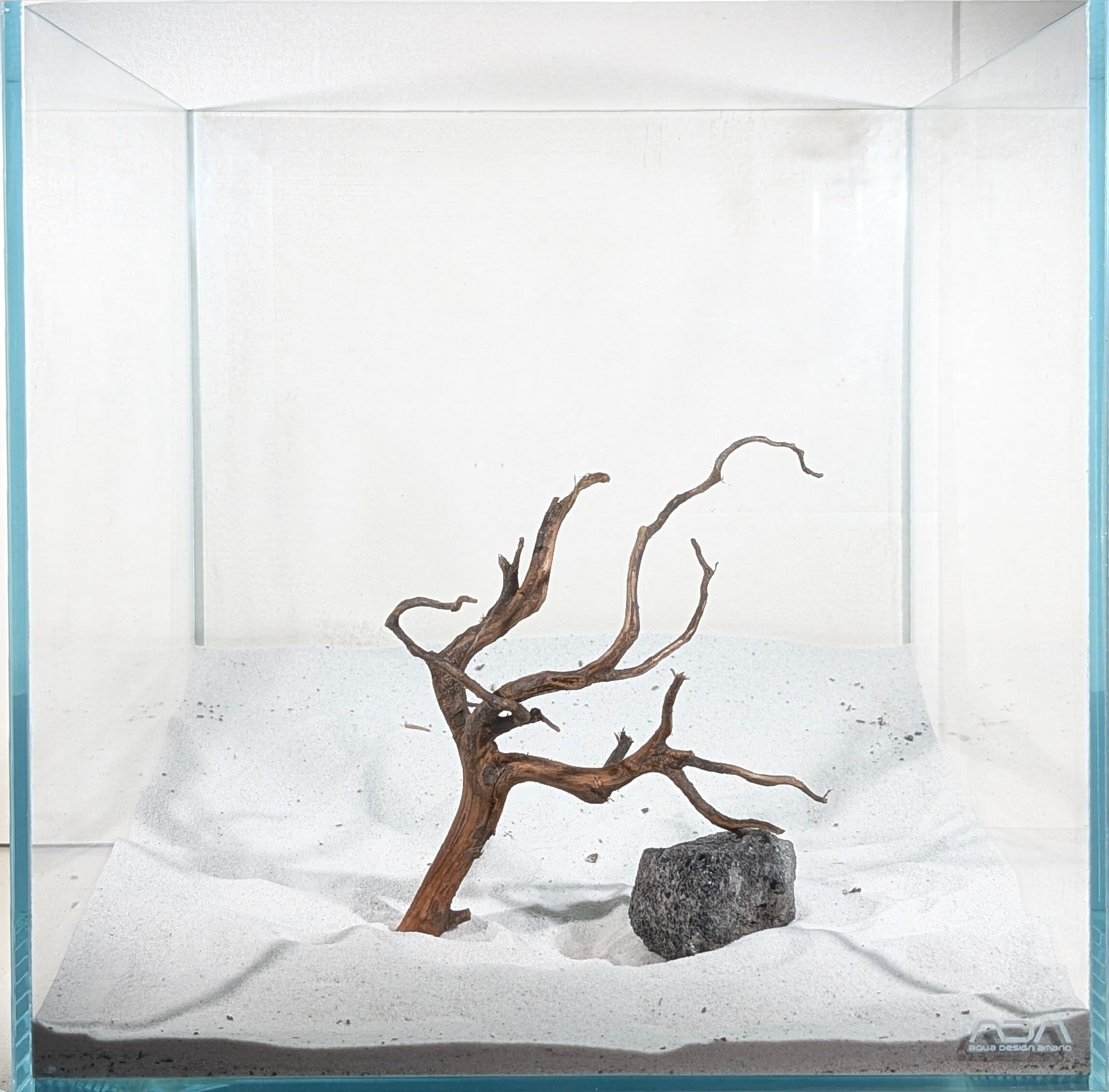 スマトラブランチウッド【SBC098】流木 アクアリウム 水槽 熱帯魚