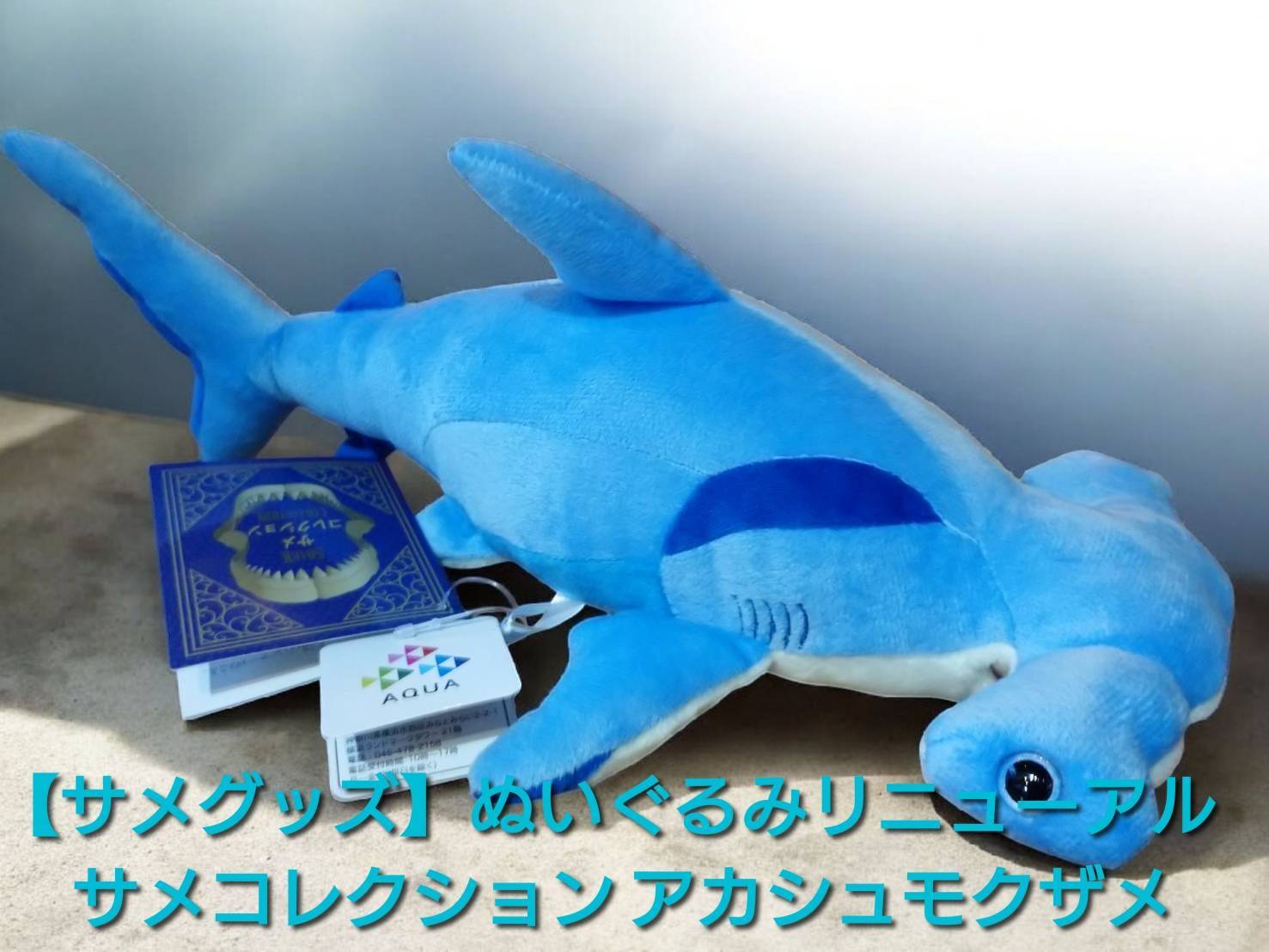 4feb456601093abbe1f0303e00ee9f