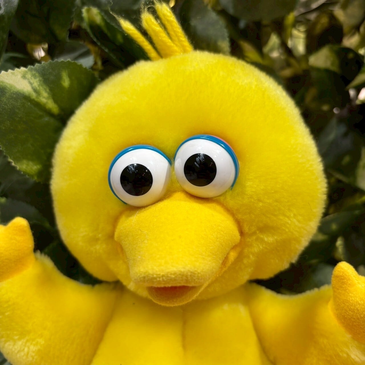 宝物！ビッグバード特大ぬいぐるみ他全部セット 幸せの黄色い鳥