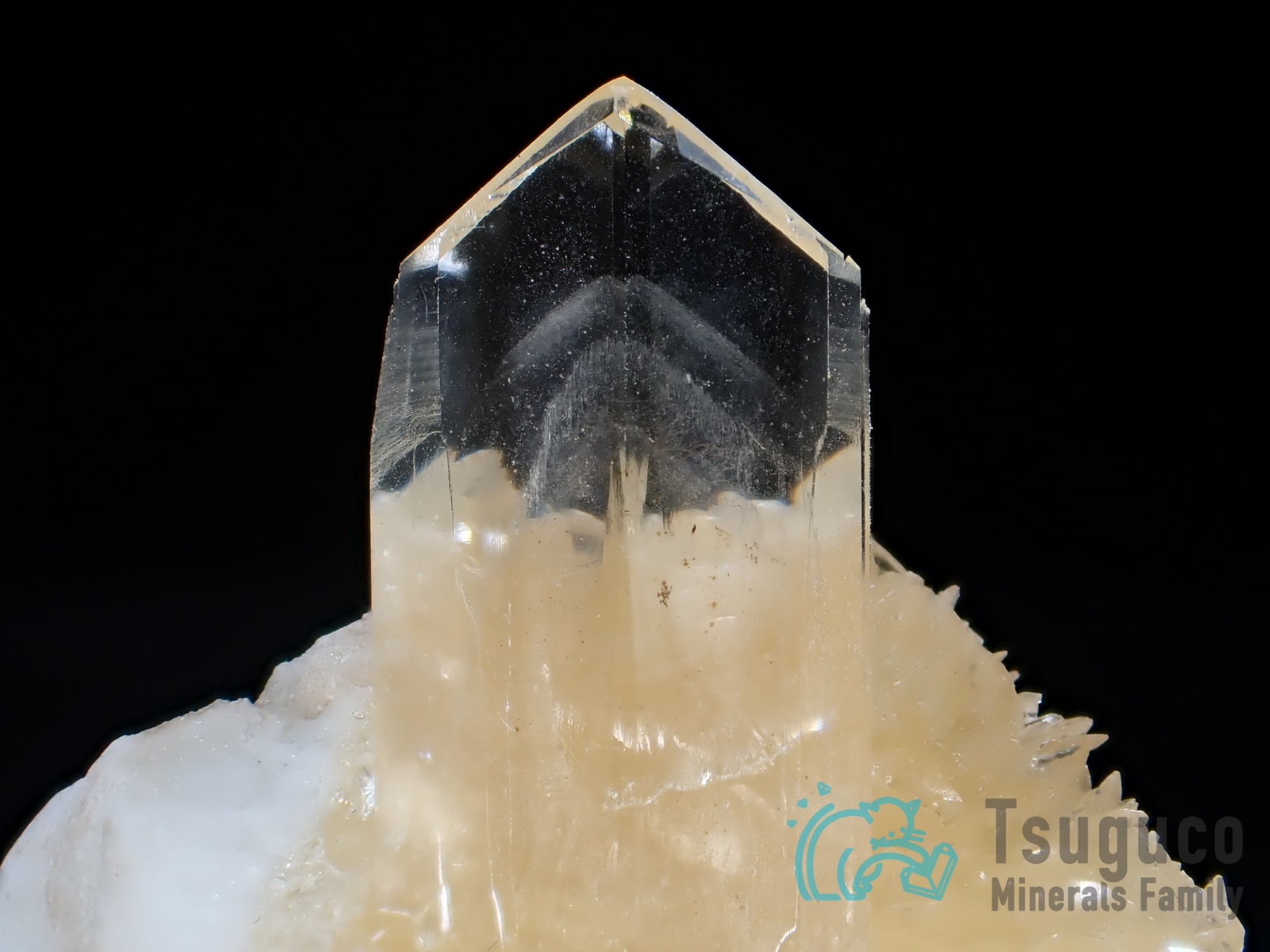 セレナイト 透石膏 スペイン TM-718 | つぐこみねらるず ｜鉱物・原石