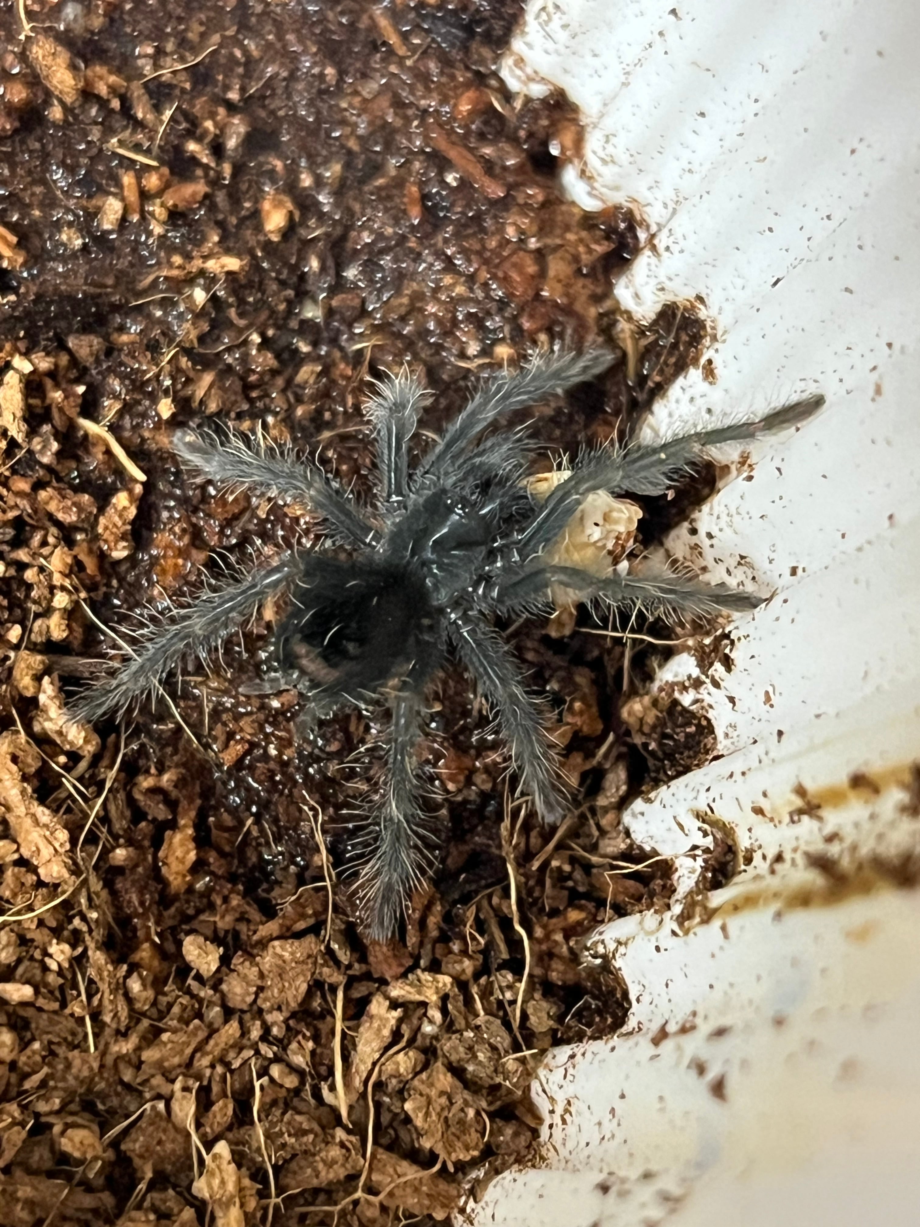 5daf8a77b3b3f897e4fcc4bb118a01