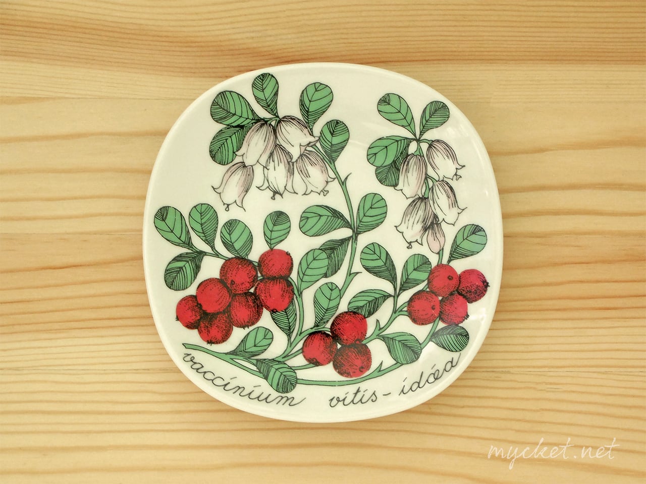 ARABIA ボタニカ Esteri Tomula 壁掛け絵皿