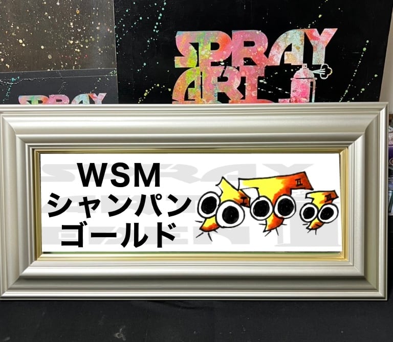 スプレーアートエデンF 6サイズキャンバス白額セット スプレーアート