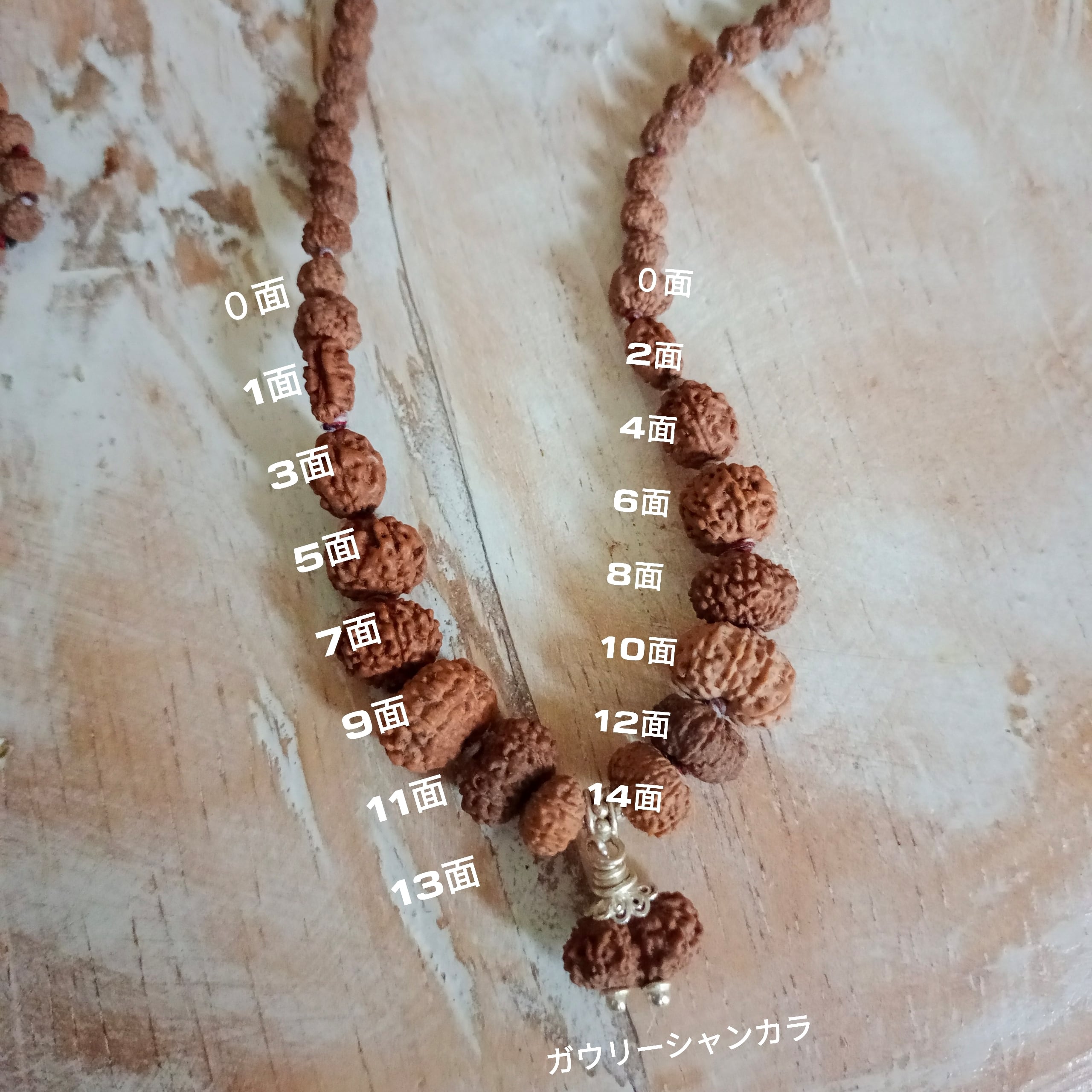 10/5までの出品】ルドラクシャ1面～14面+ガウリーシャンカラ+ガネーシャ 10