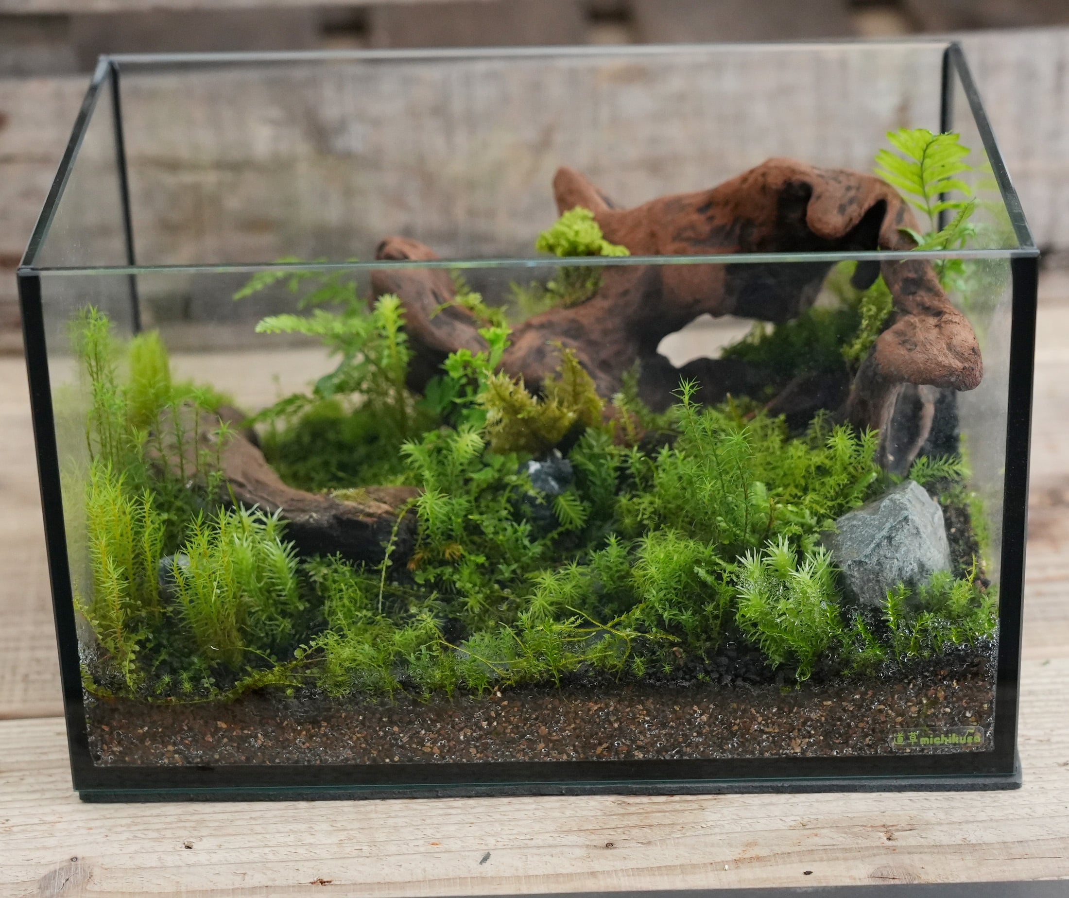 パルダリウム・テラリウム水槽600×300×360 パルダリウム・テラリウム