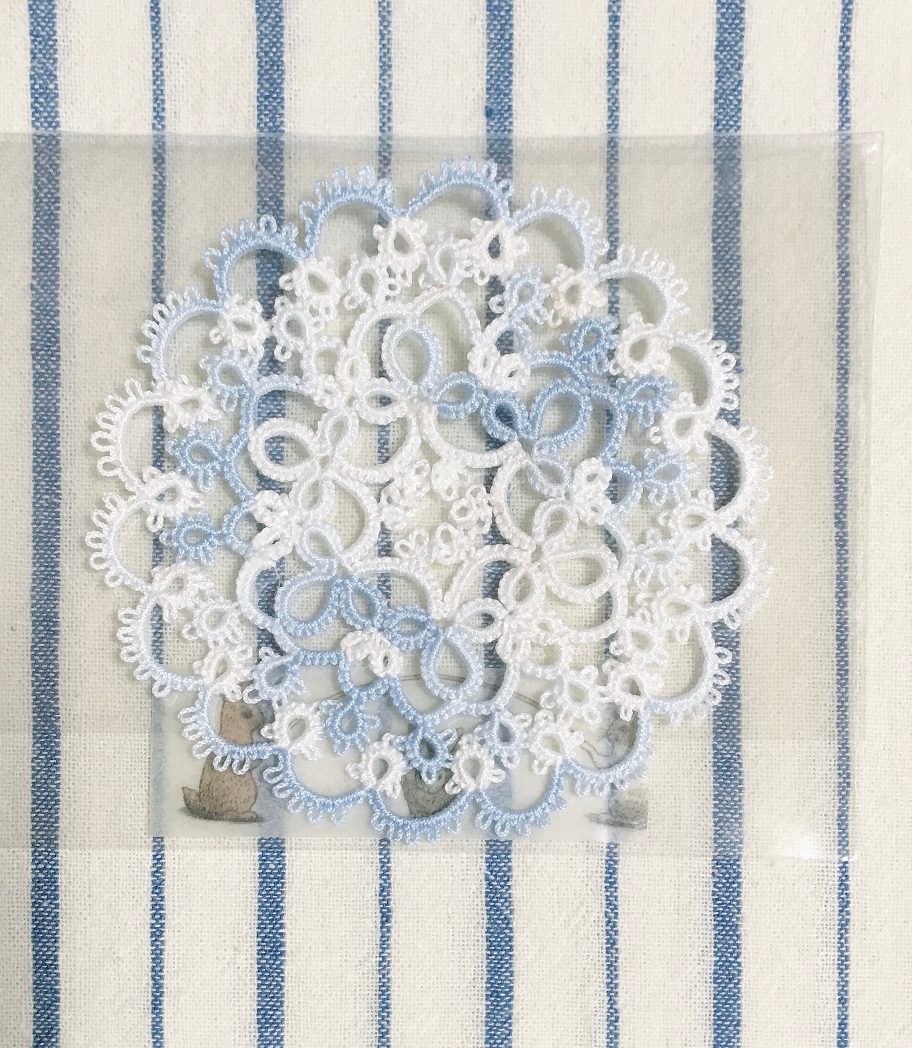 791bf55ebff4f4545835dcedf69eb5