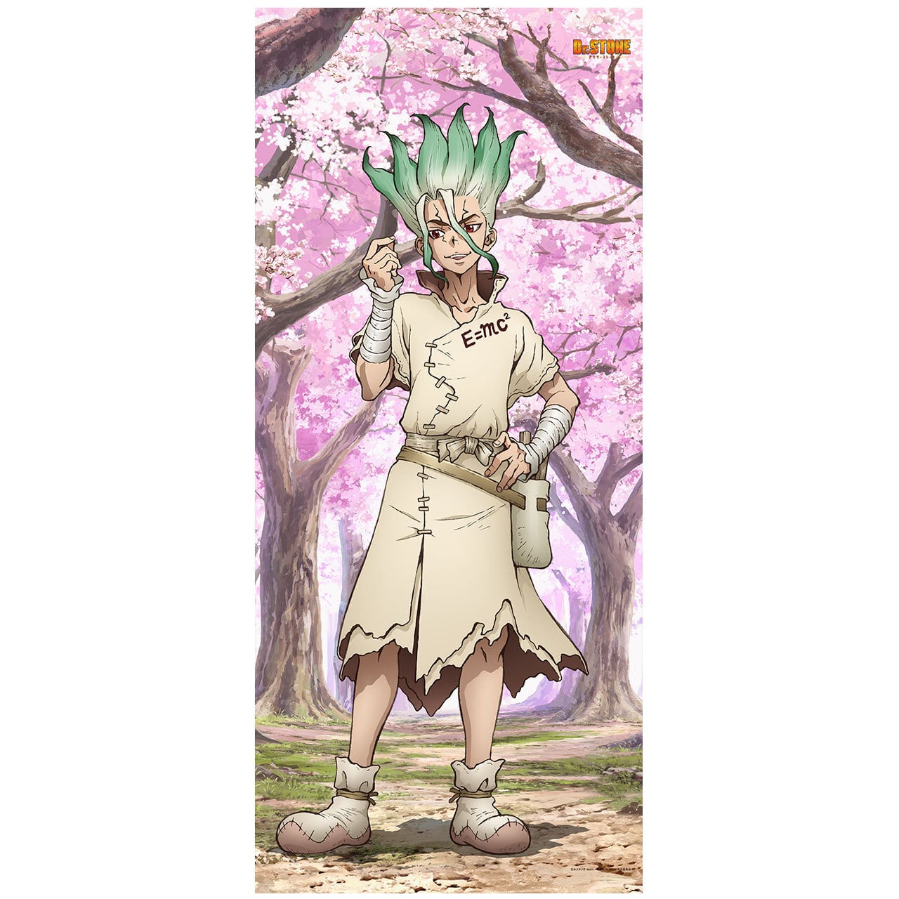 4570077741510受注生産】Dr.STONE 【描き下ろし】BIGタペストリー 石神