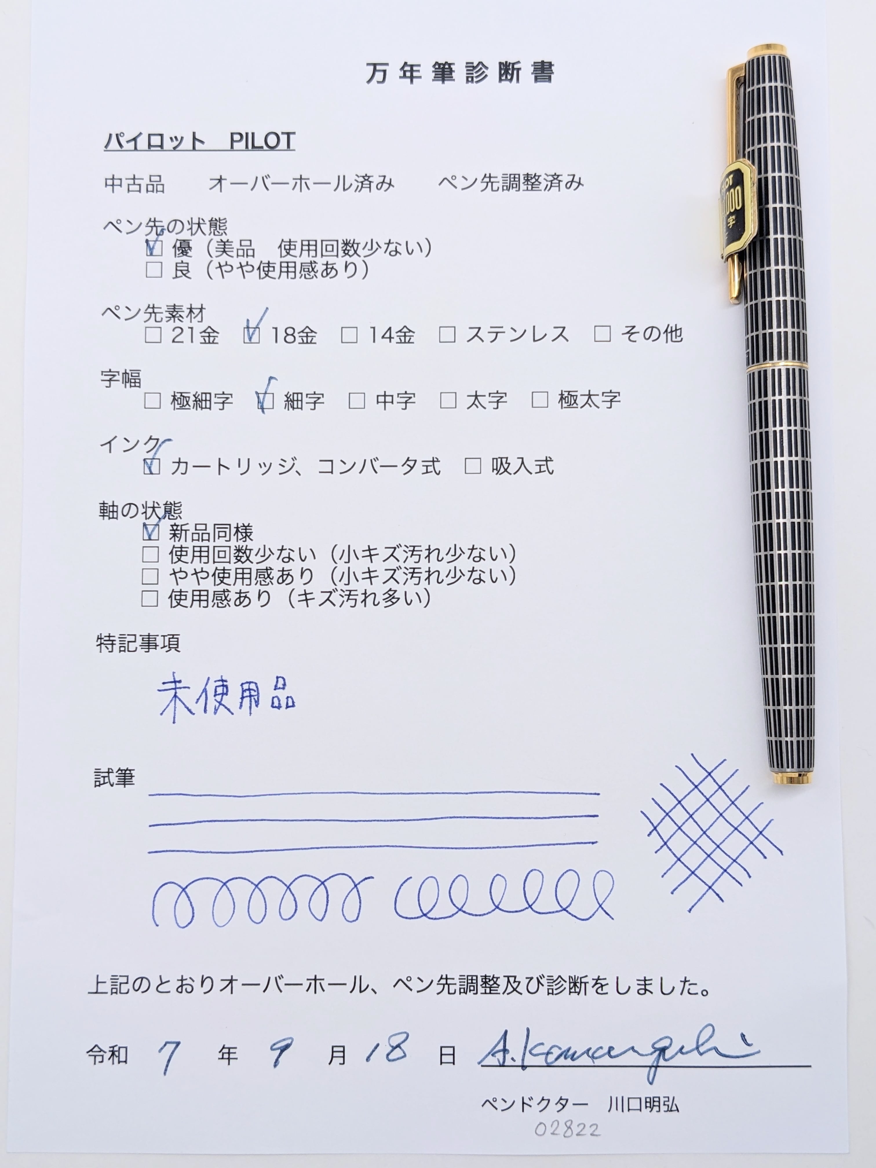 1976 パイロット PILOT （細字） 18K 02822 | 川口明弘の調整万年筆