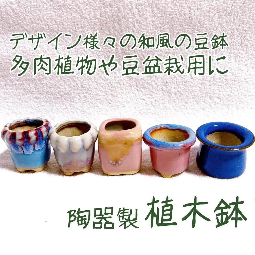 お得アソート 陶器製植木鉢 5点セット】 豆盆栽やコケ盆栽などに！ 苔