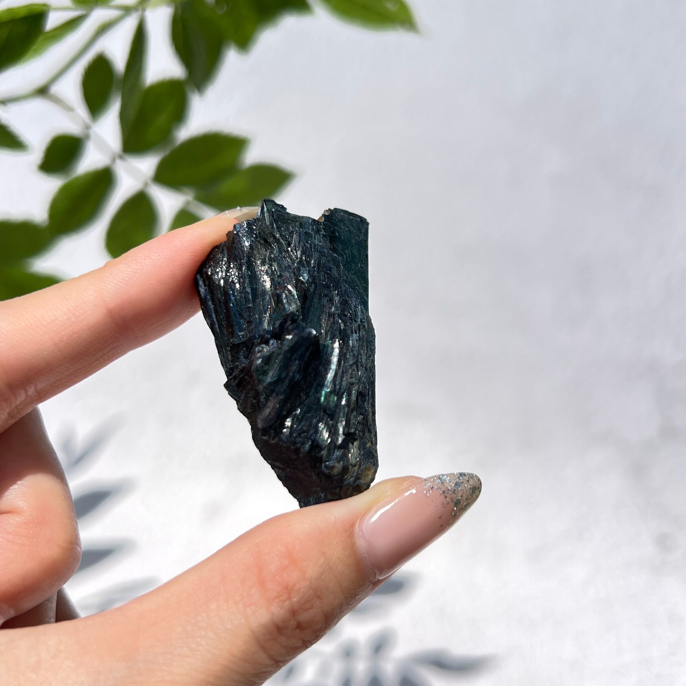 ビビアナイト 貝 鉱物 標本 原石