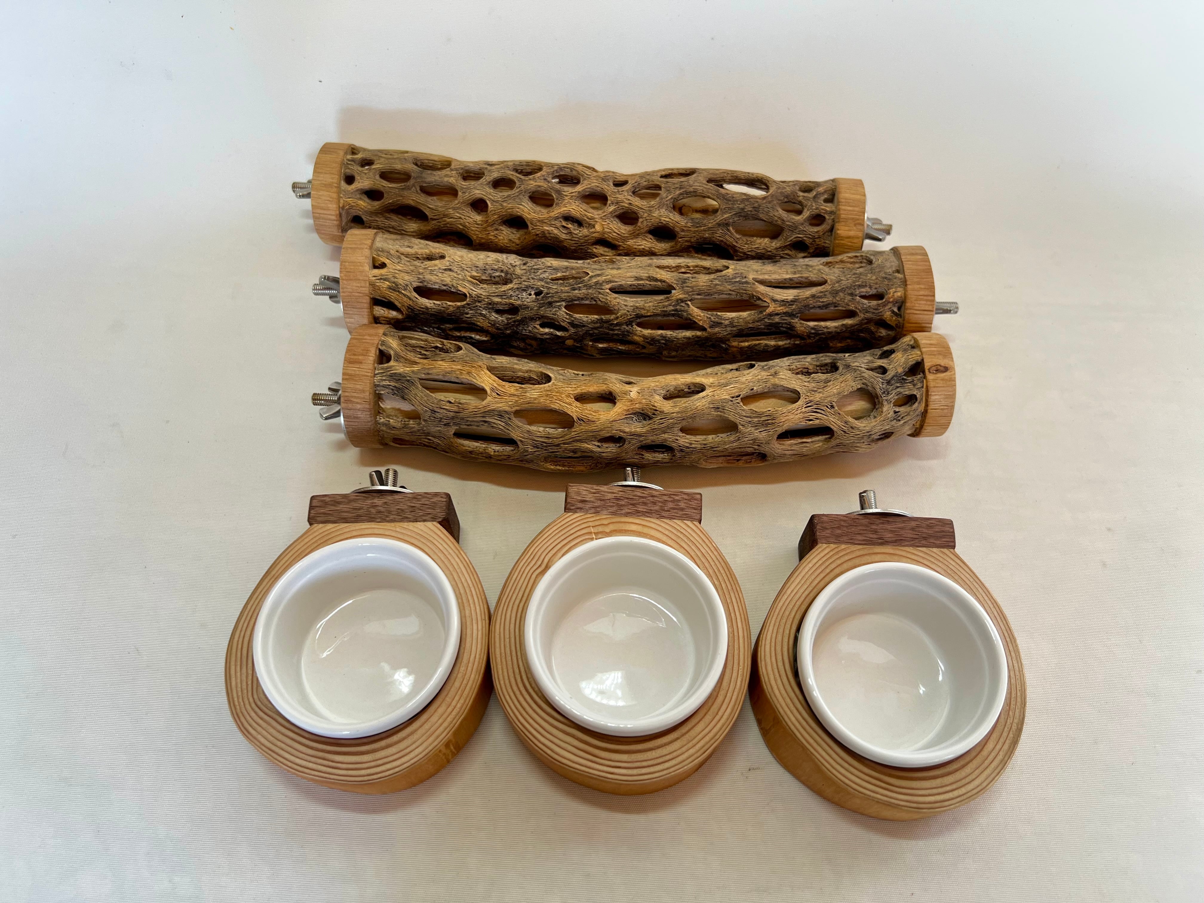 カクタスパーチL | 小福屋 kofukuya@bird