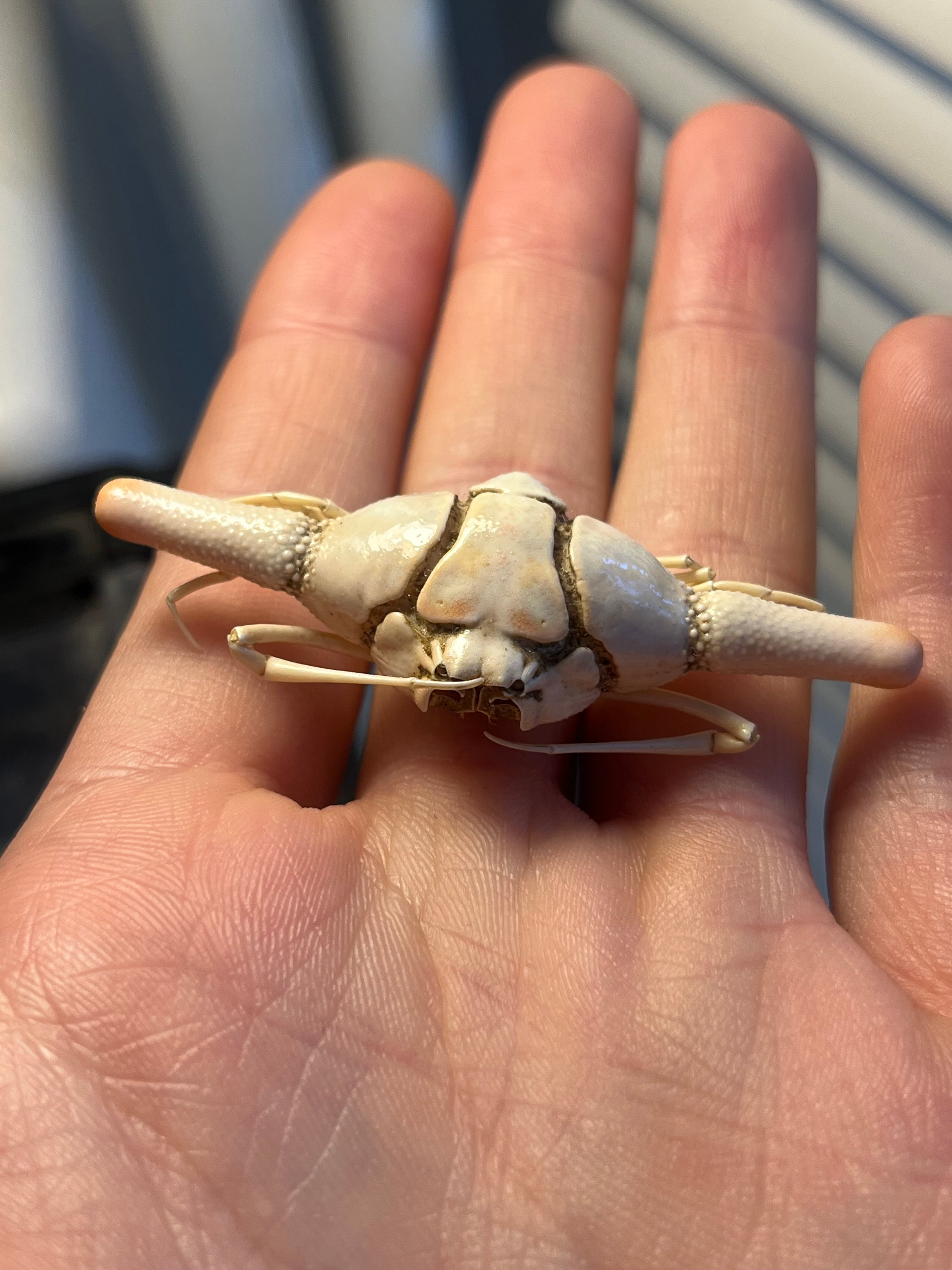 92c9dcf8d18c8711d6bc3380237d75