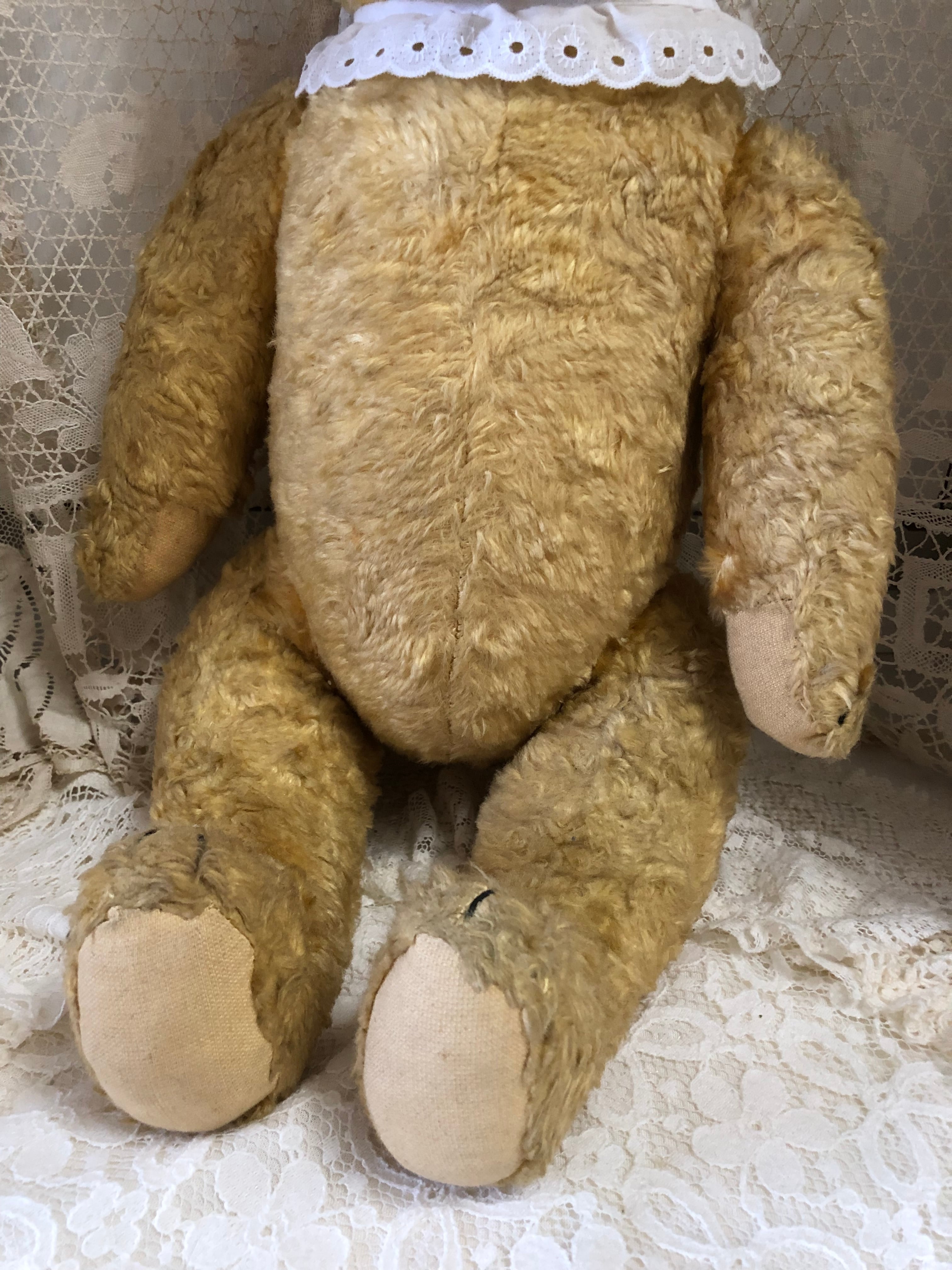 ドイツ アンティーク ベア おとぼけ顔のおっとりくん | le Verseau