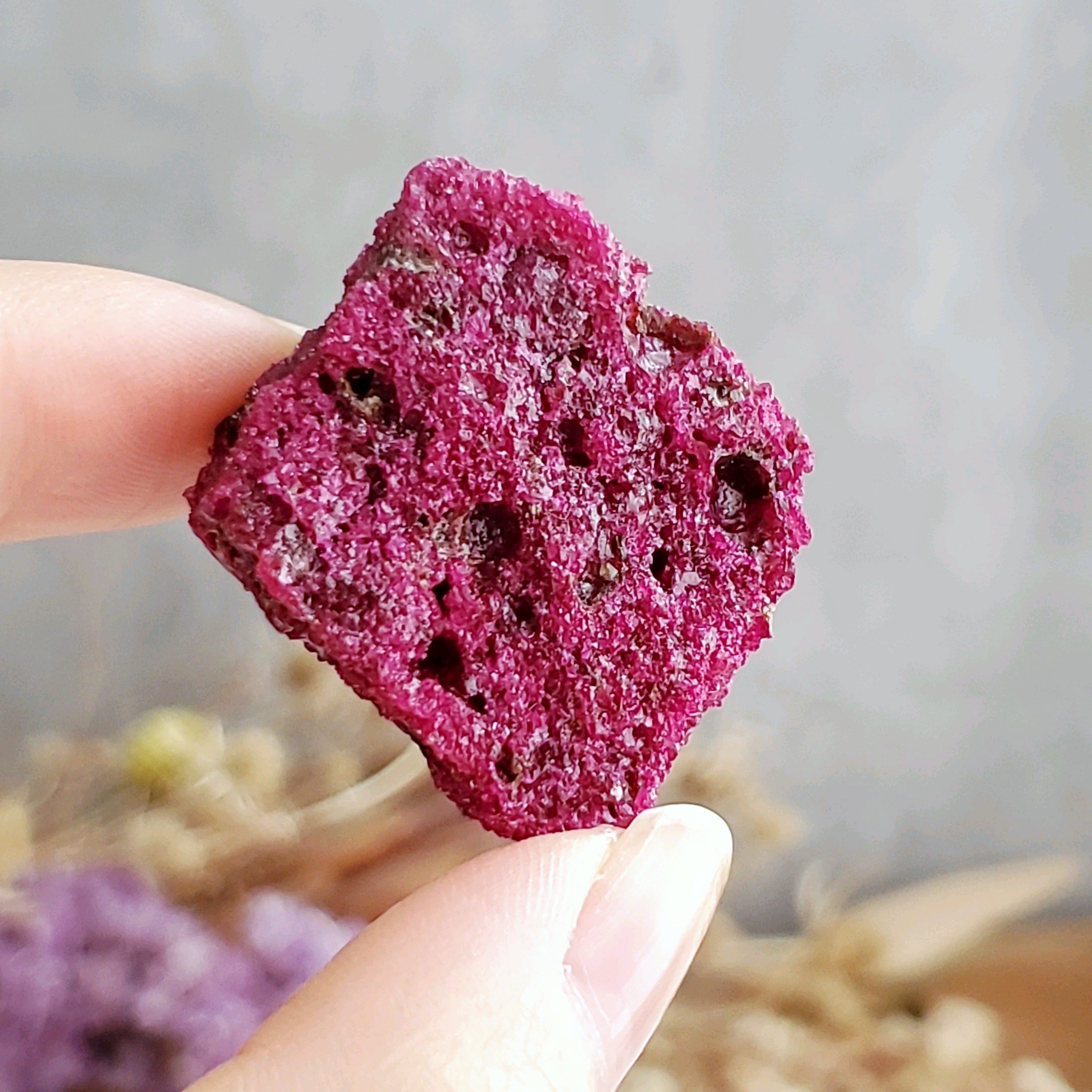 978bb28b786a94aa2142025c9910eb