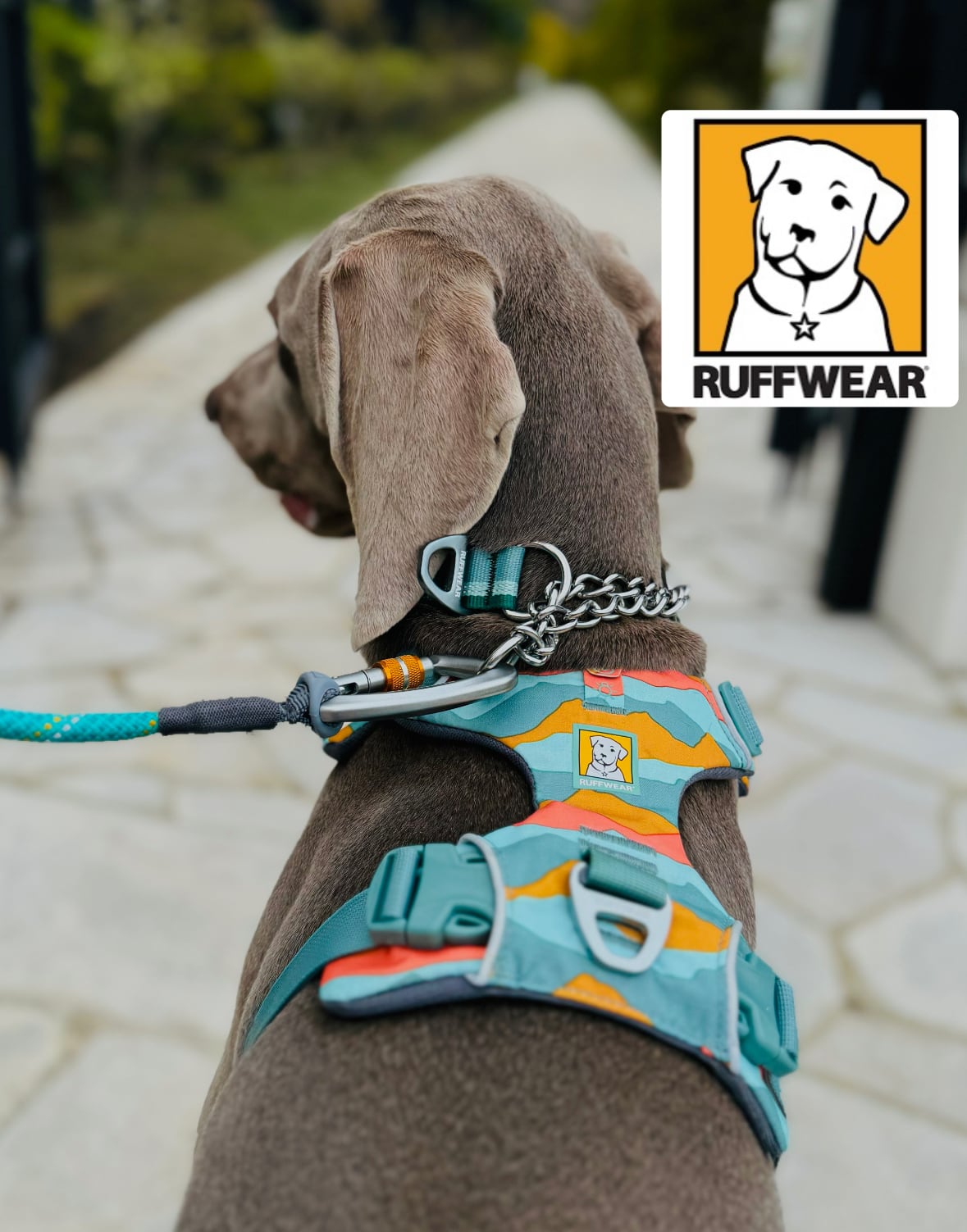RUFFWEAR 犬用ハーネス XXS グレー RUFFWEAR ウェブマスターハーネス