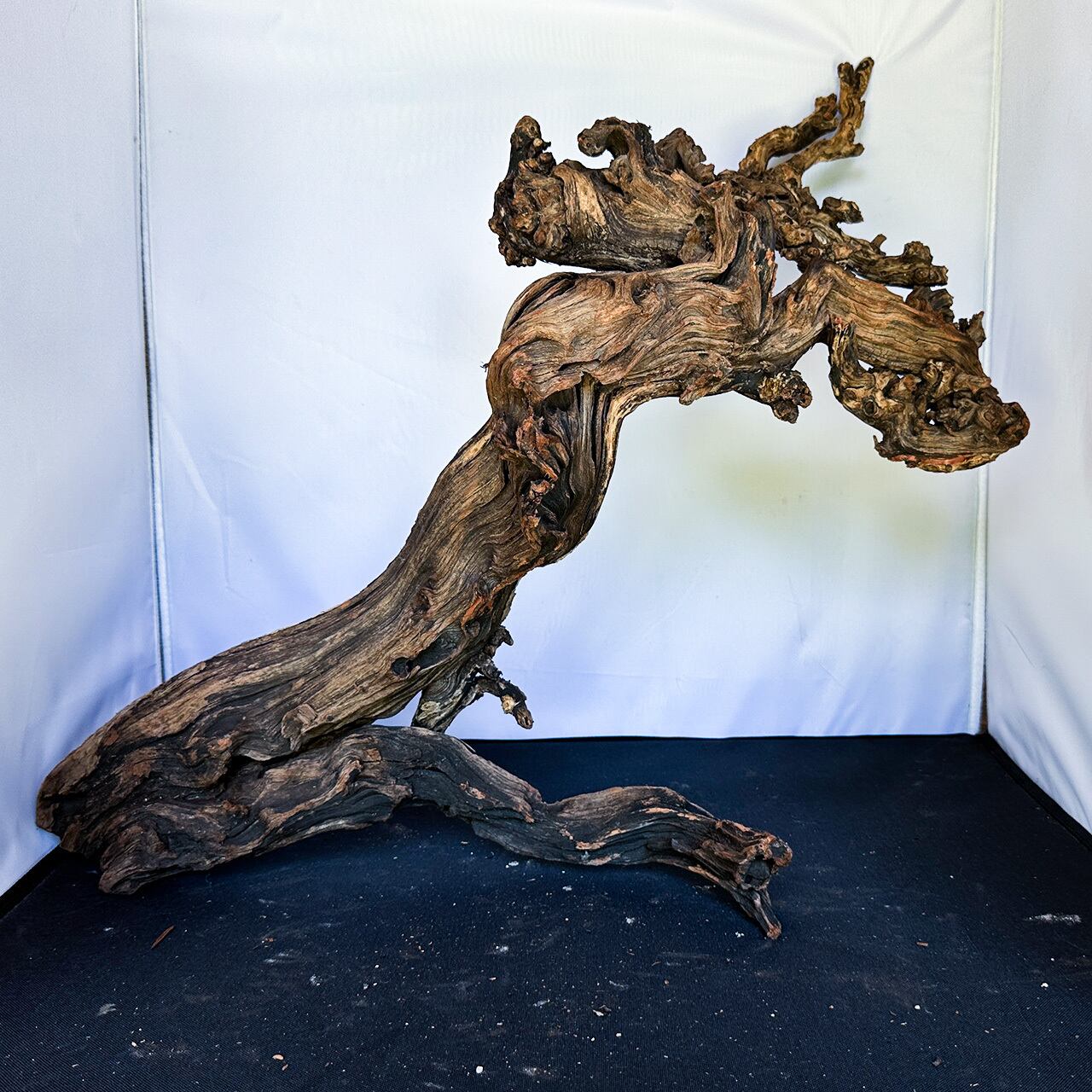 ディープホーンウッド | アクアリウム 大型流木通販ショップ