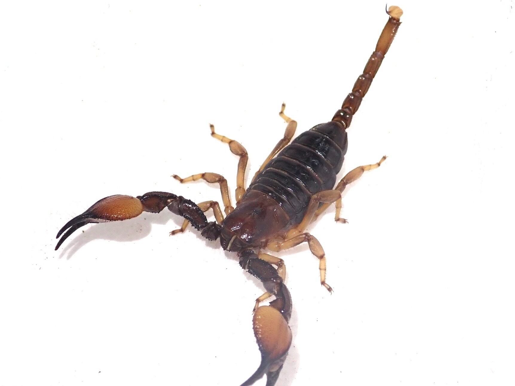 9acecf9439de44d4b48ae24363fc36