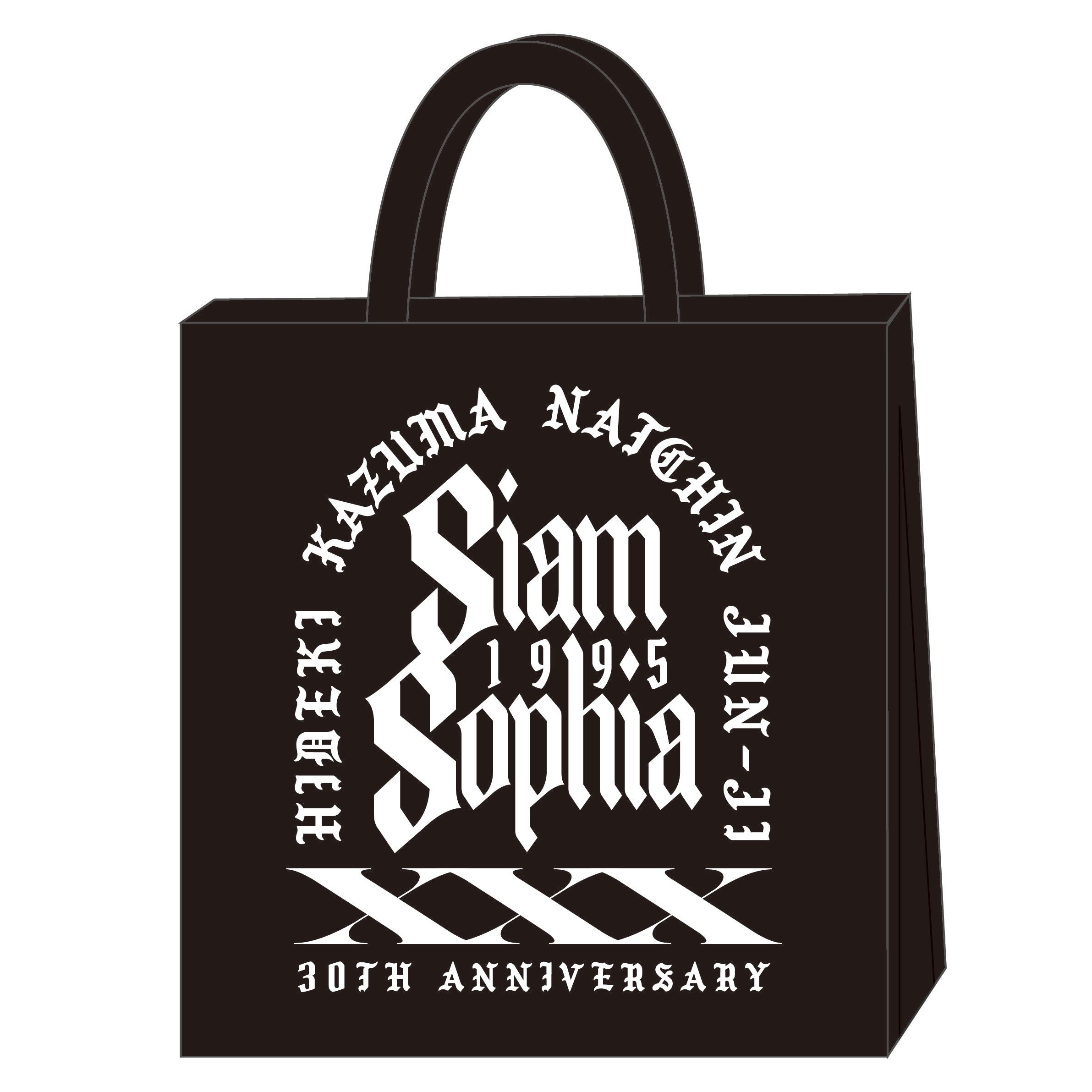 シャムシェイド】ツアーグッズ 雑誌 レア14点セット SIAM SHADE 公式