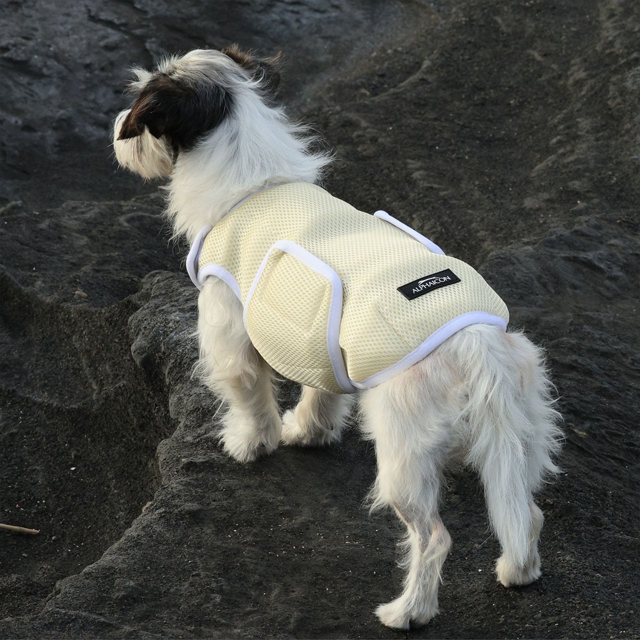 ALPHAICON [アルファアイコン] SUPER COOLING VEST [25SCV] スーパー