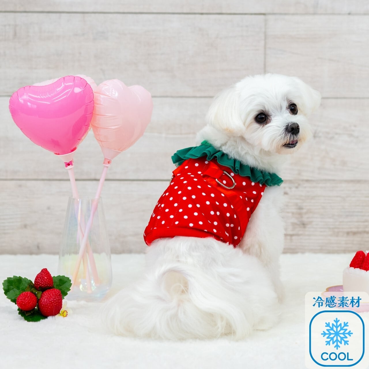 ALL ITEMS | LOU LOU DOG