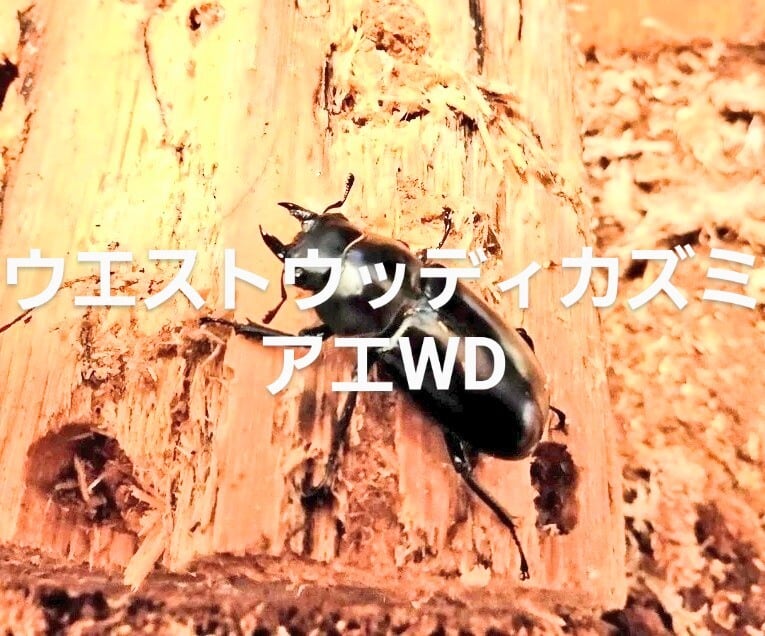 0348536c55da28faf86aa26c74287d