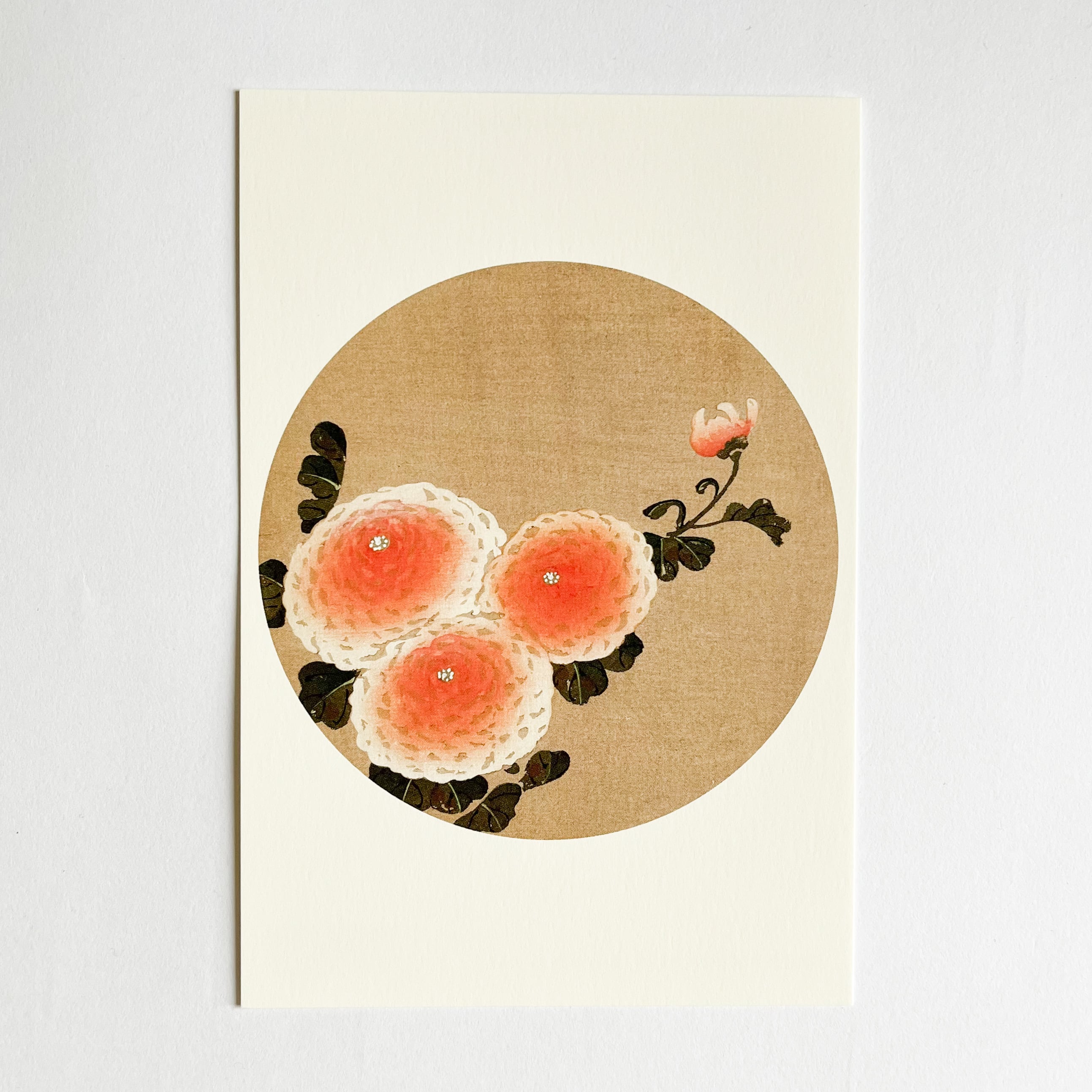 伊藤若冲 ポストカード 「花卉図天井画」菊 | hmm, by 東京都美術館