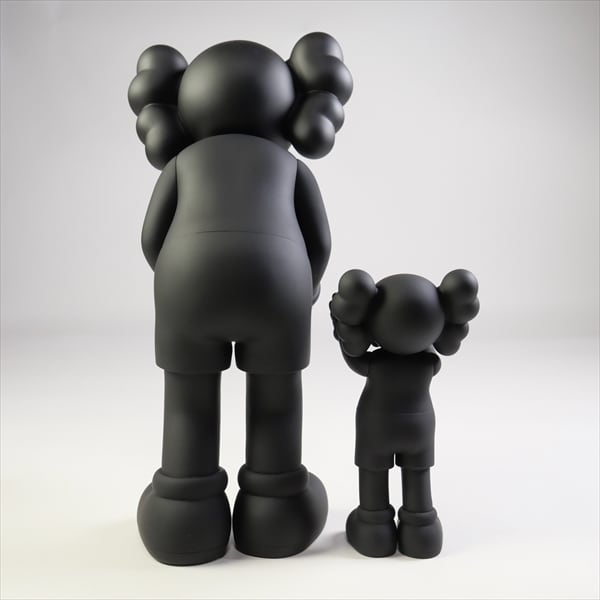 KAWS FAMILY BLACK 未開封