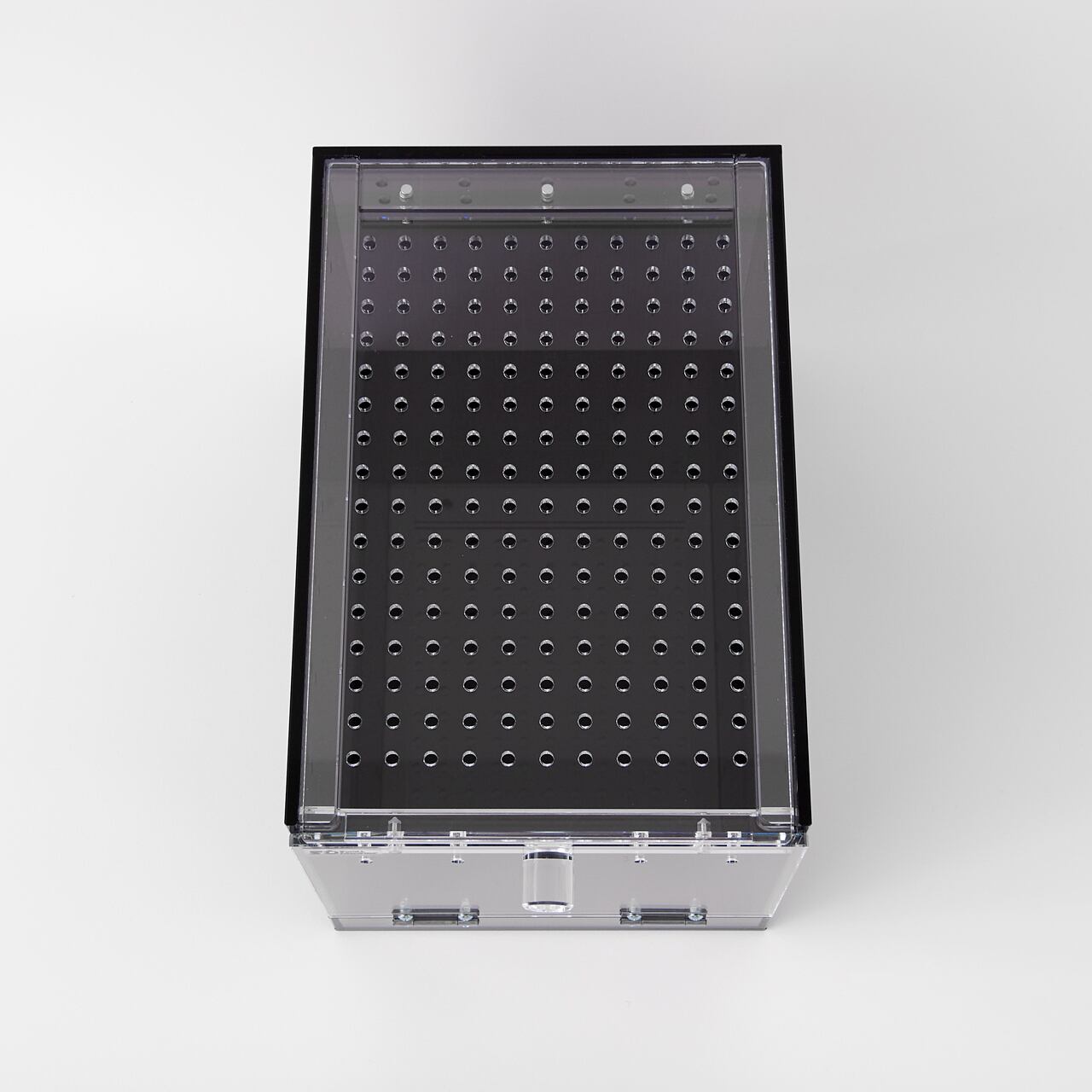 clear2-ブラックver】W200×D300×H200 Small Dinosaur スモール