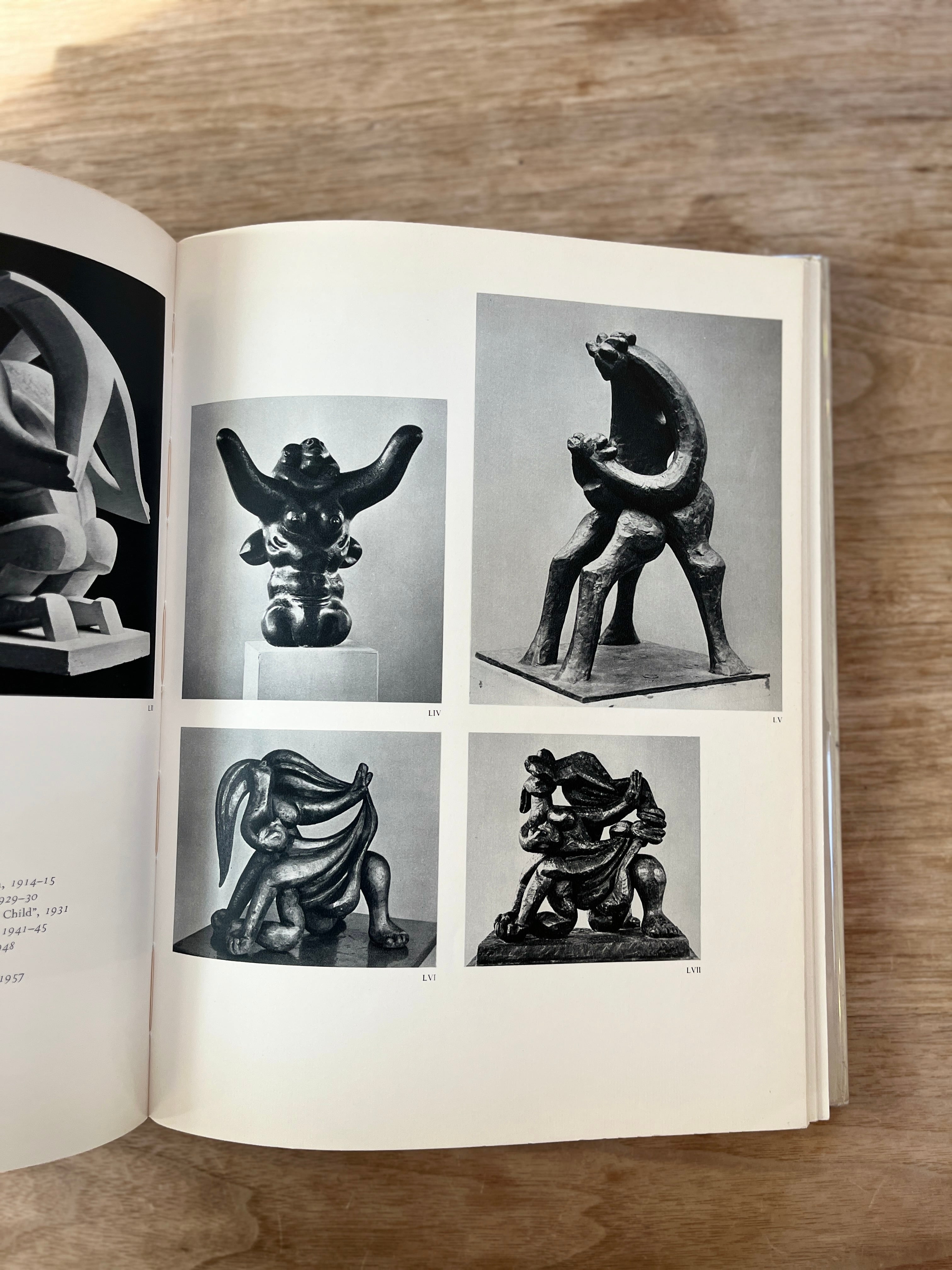 芸術写真 arp / The Museum of Modern Art 芸術写真 arp / The Museum