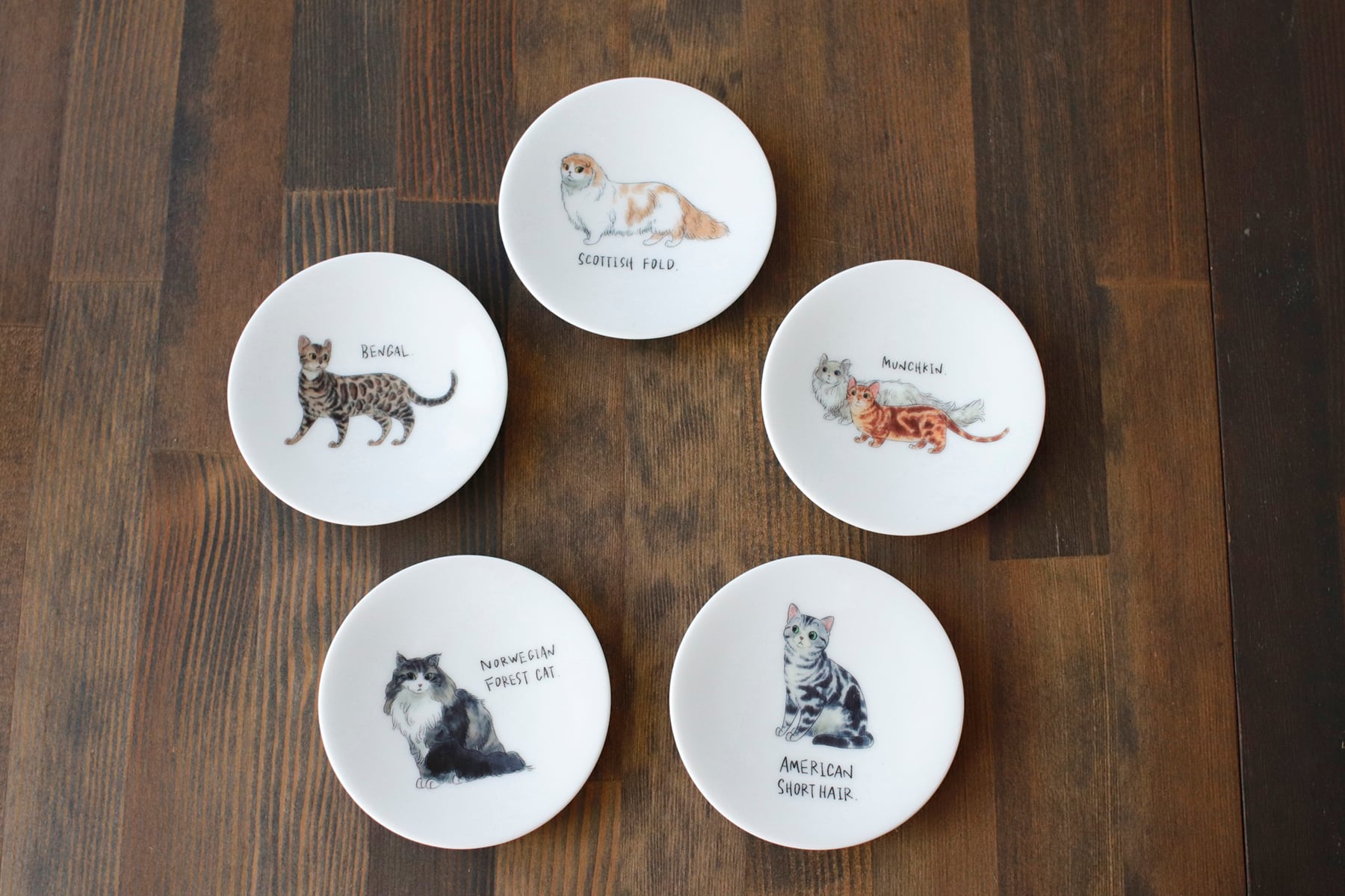 フランス アンティーク 猫の小皿 フランスアンティーク猫トレイ 猫皿