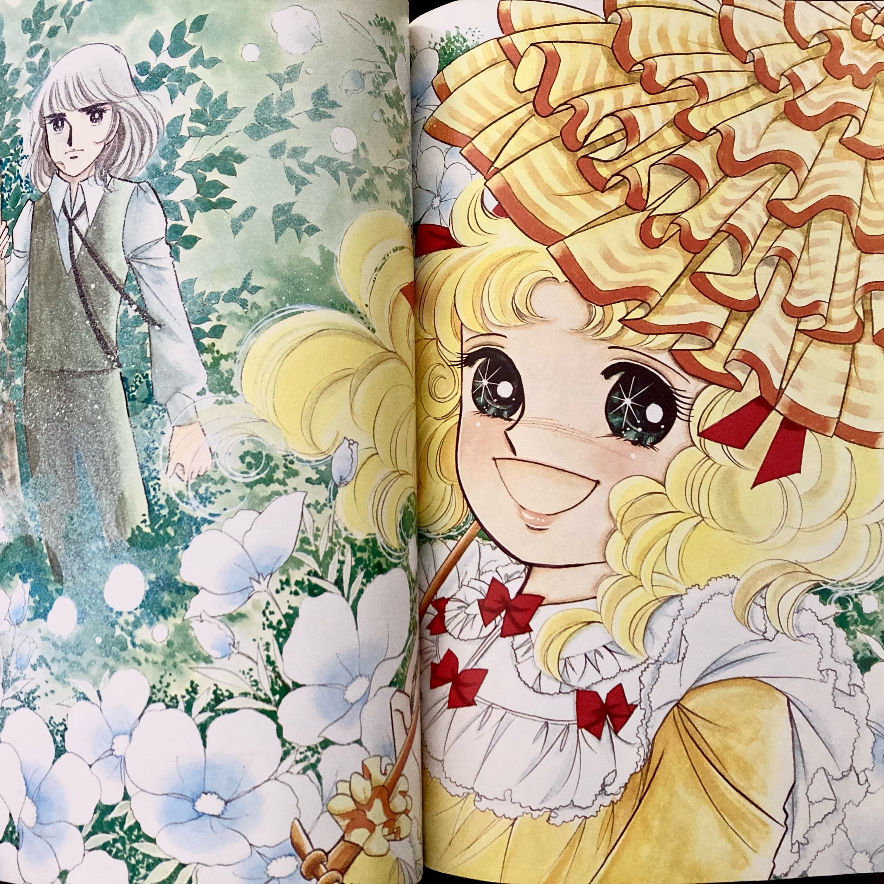 キャンディキャンディ全9巻 キャンディキャンディ 全9巻 黒文字統一 並