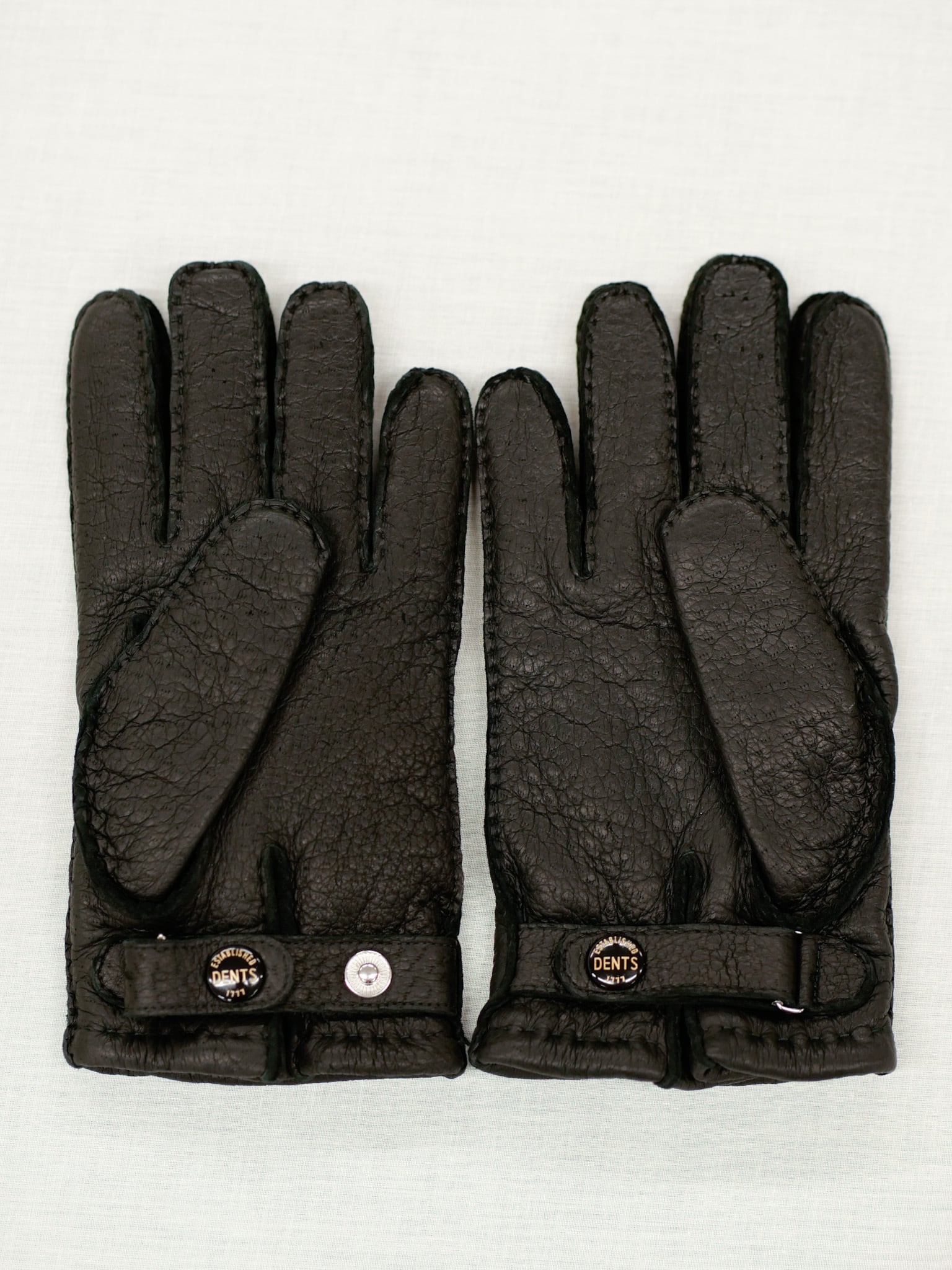 ☆デンツ ペッカリー