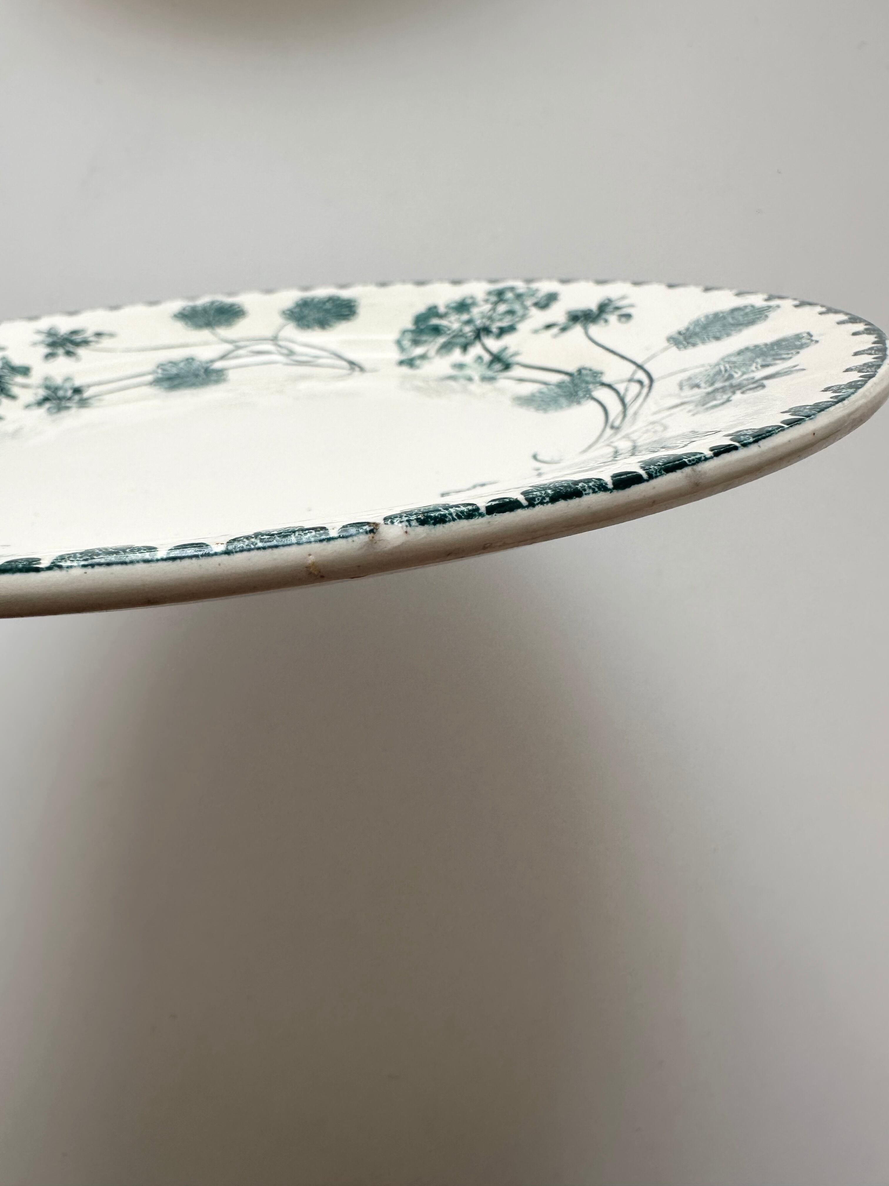 sarreguemines サルグミンヌ ゼラニウム フランス アンティーク