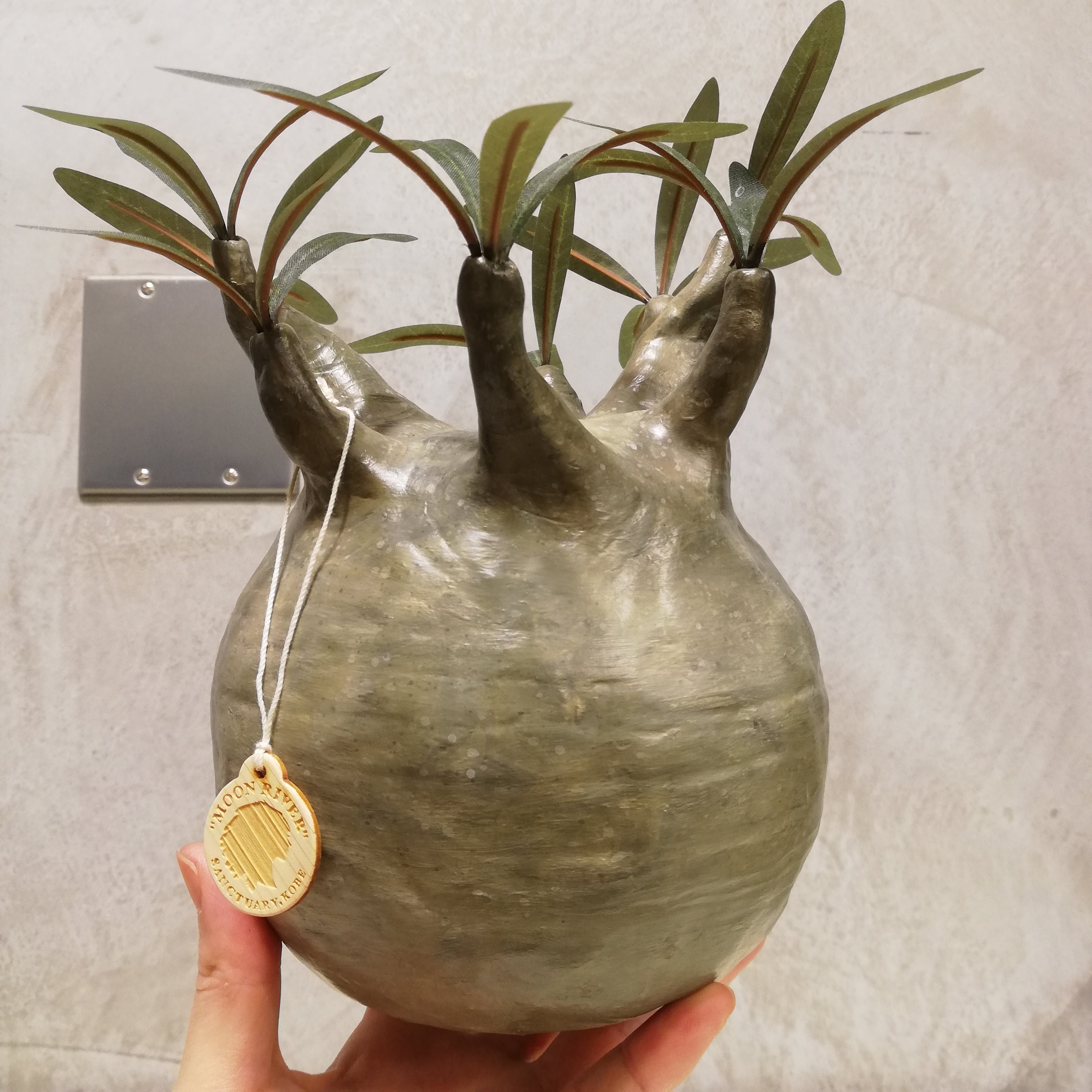 MEDICOM TOY×BOTANIZE メディコムトイ×ボタナイズ おまけ付セット