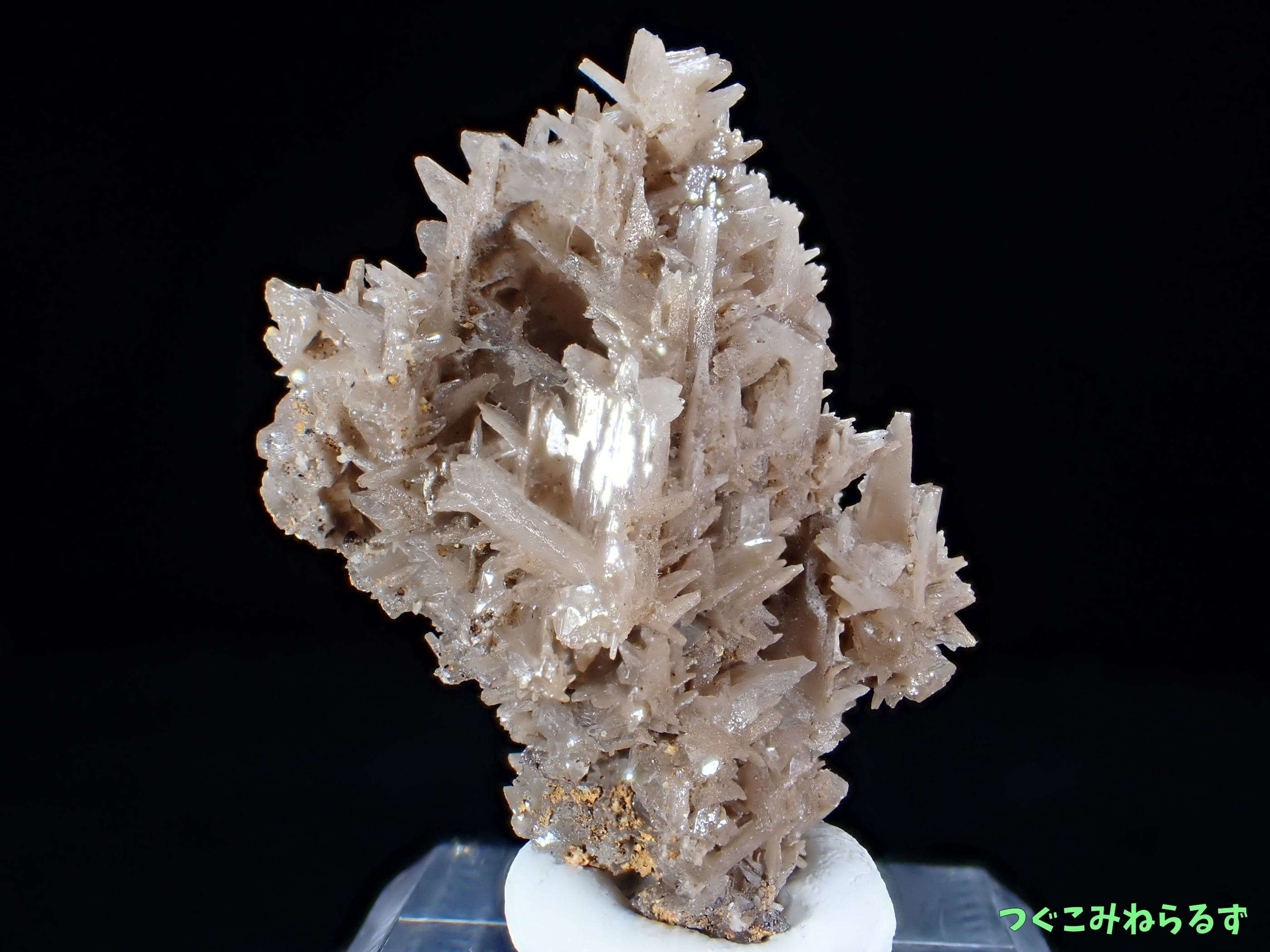 セルサイト 白鉛鉱 イラン TM-513 | つぐこみねらるず ｜鉱物・原石