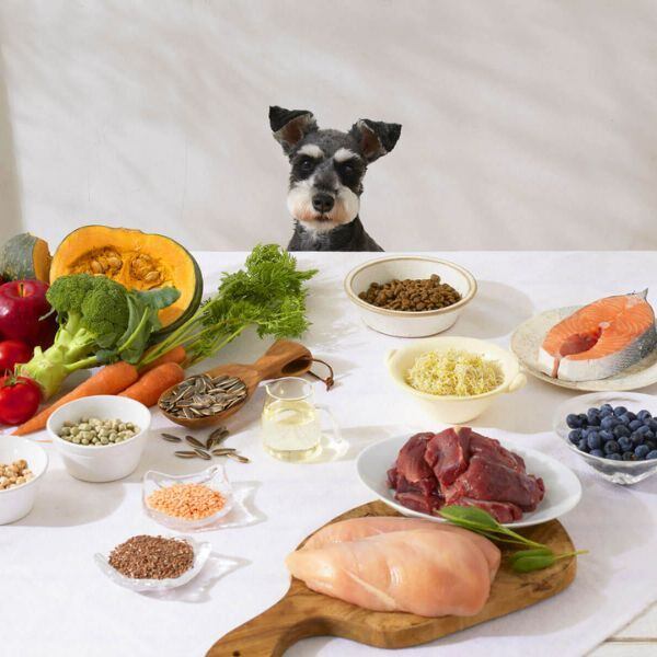 ソルビダ グレインフリー チキン 室内飼育7歳以上用 12kg