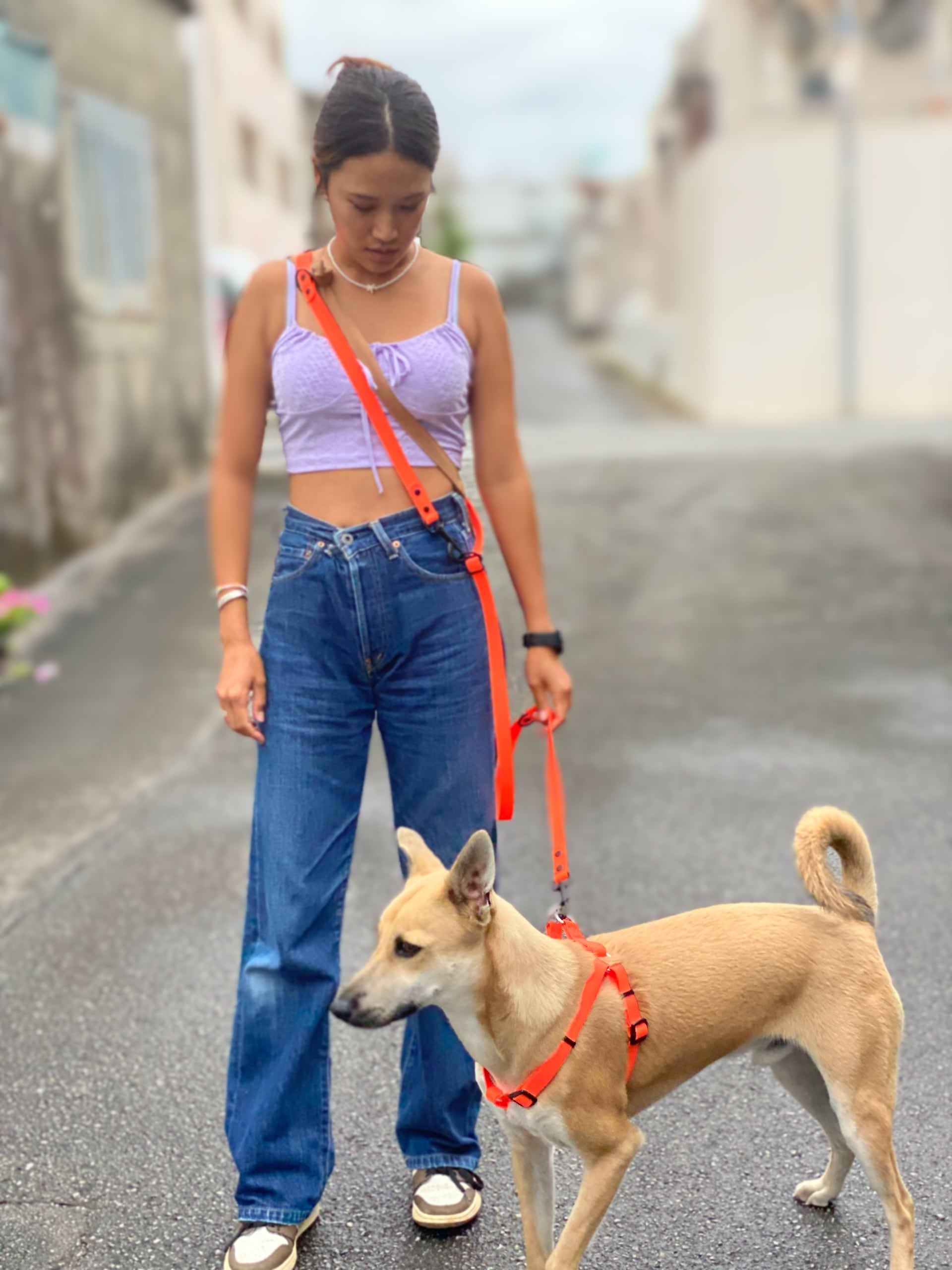 PVC防水ハンズフリーリード【210cm】 | Aloha ilio