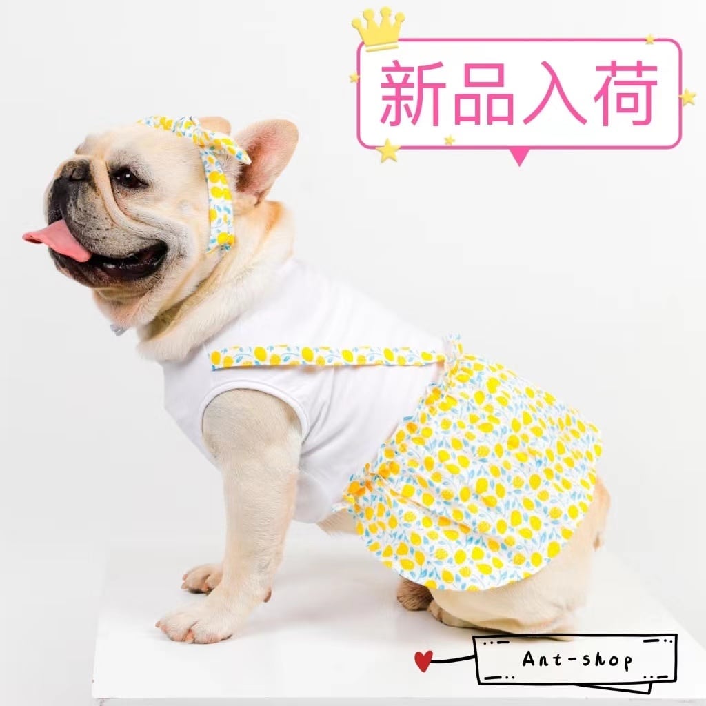 犬服 S わんこの普段着紺色の小花