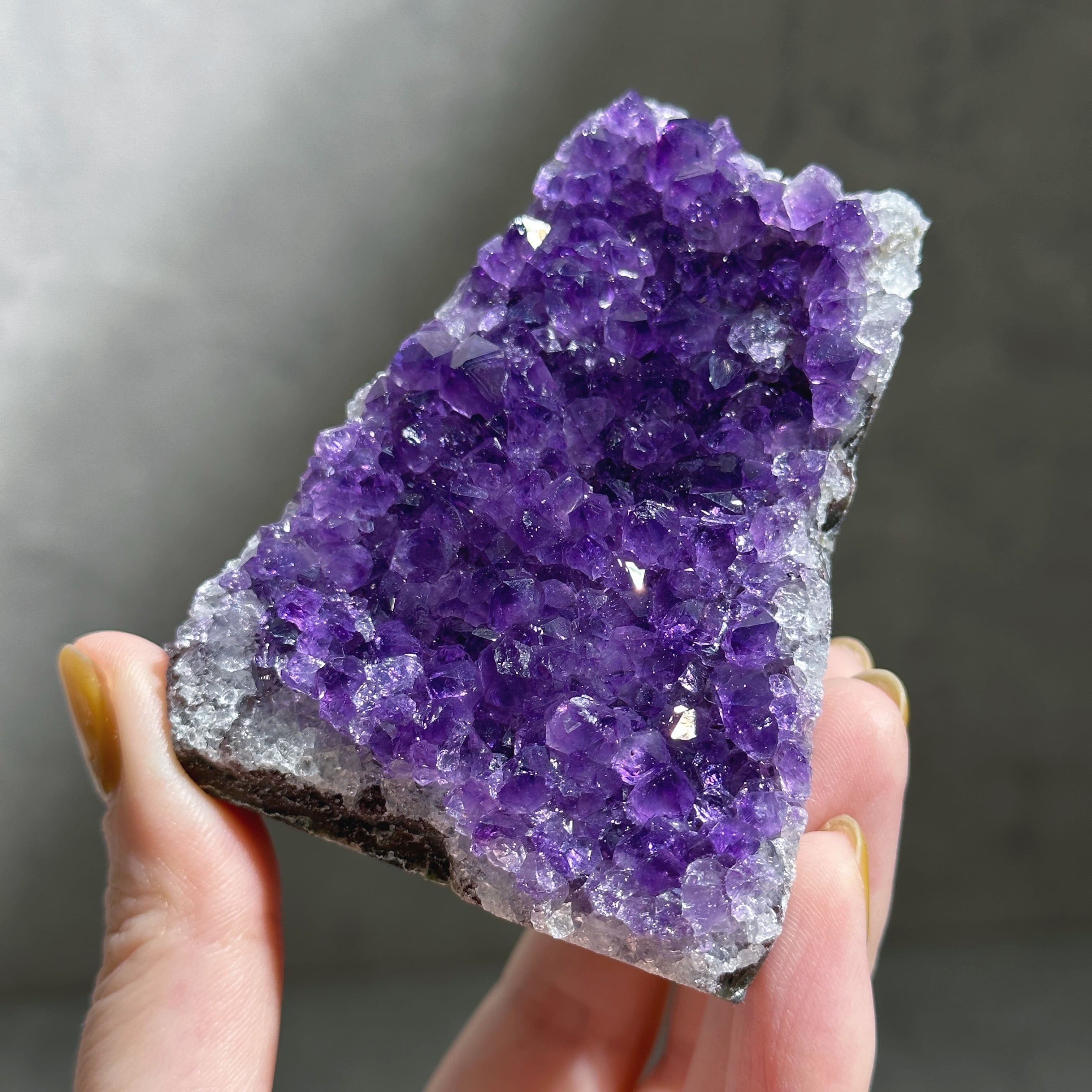 絶品濃い濃い超強パワー☆超迫力☆限定品☆ウルグアイ産☆