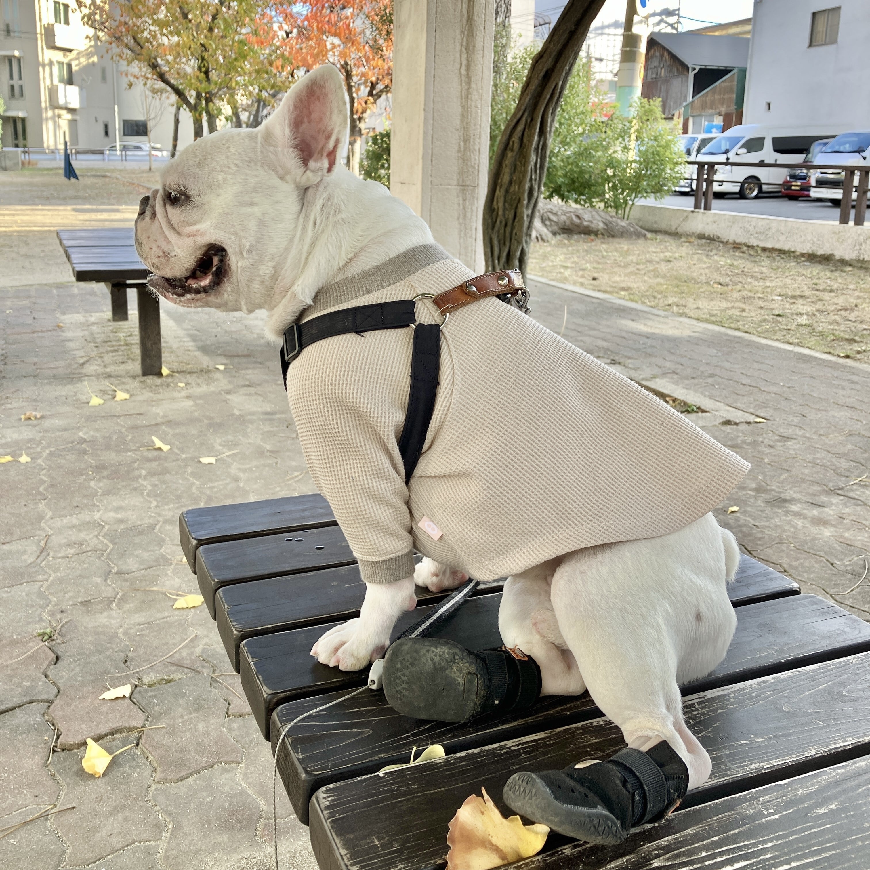 ハンドメイドフレブル服no.専用 わかば様専用○犬服○ハンドメイド 胴