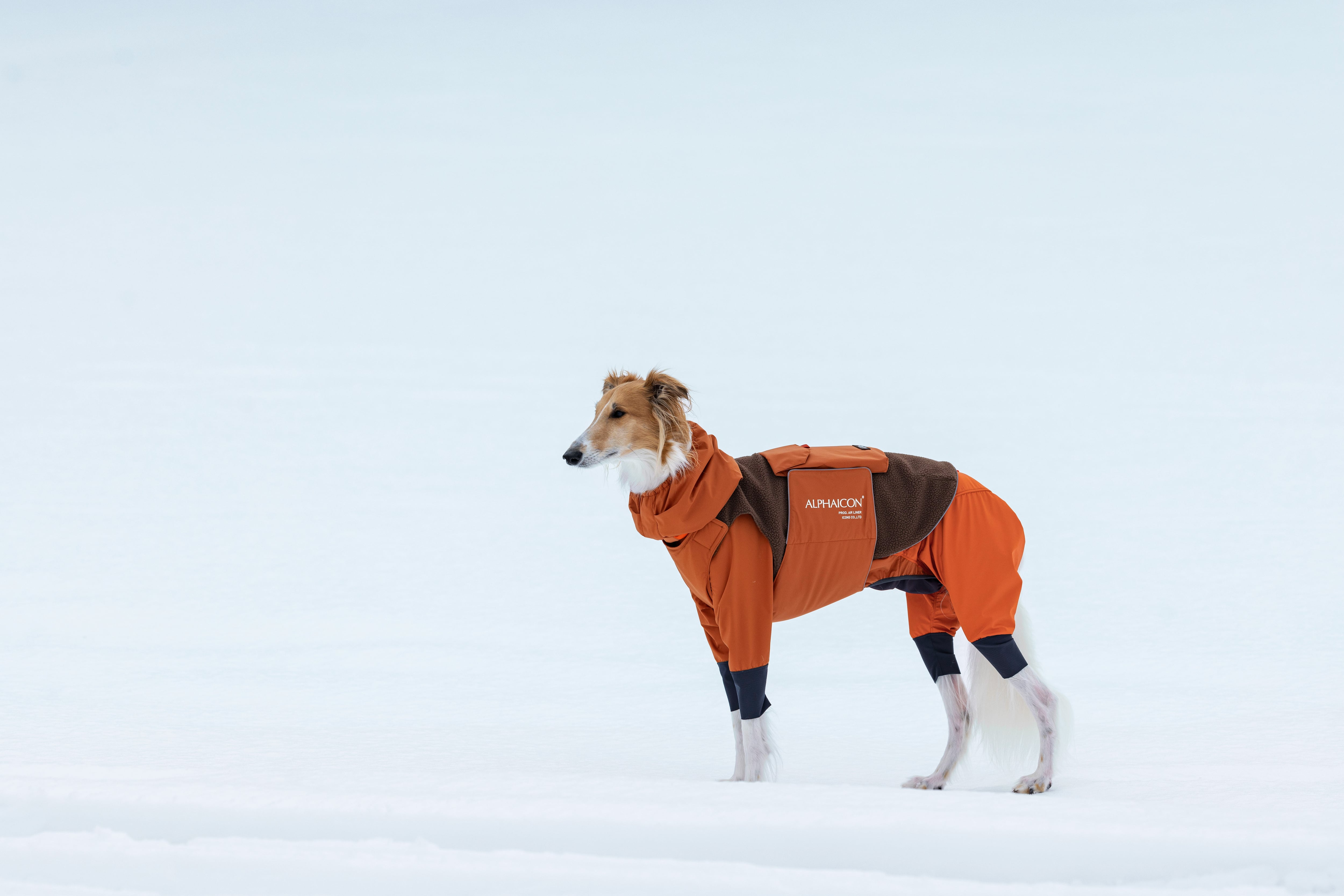 アルファアイコンスノードッグガードXL 赤/茶
